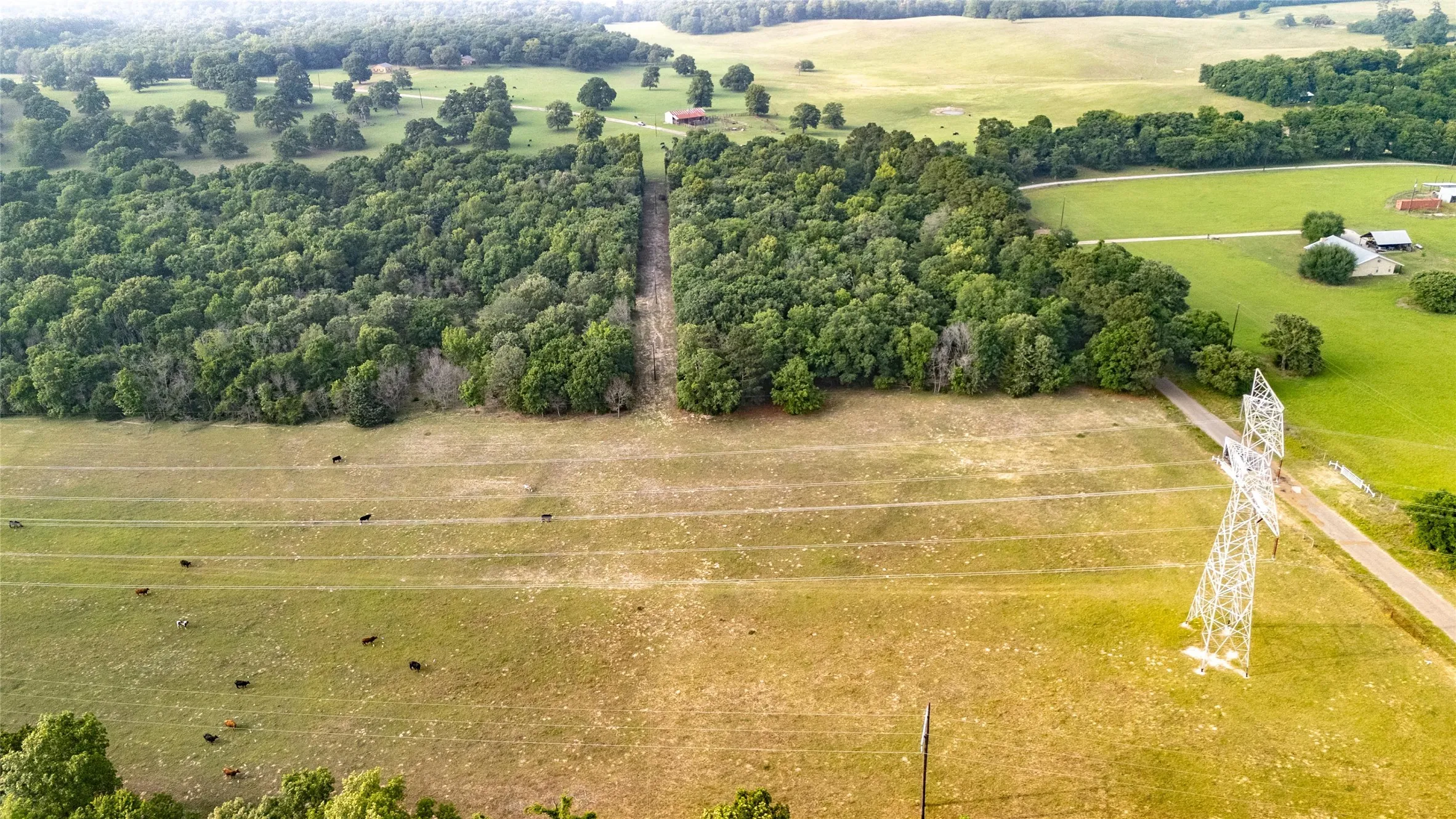 Expansive open fields bordered by mature tree lines, featuring a clear-cut utility easement and a power transmission tower