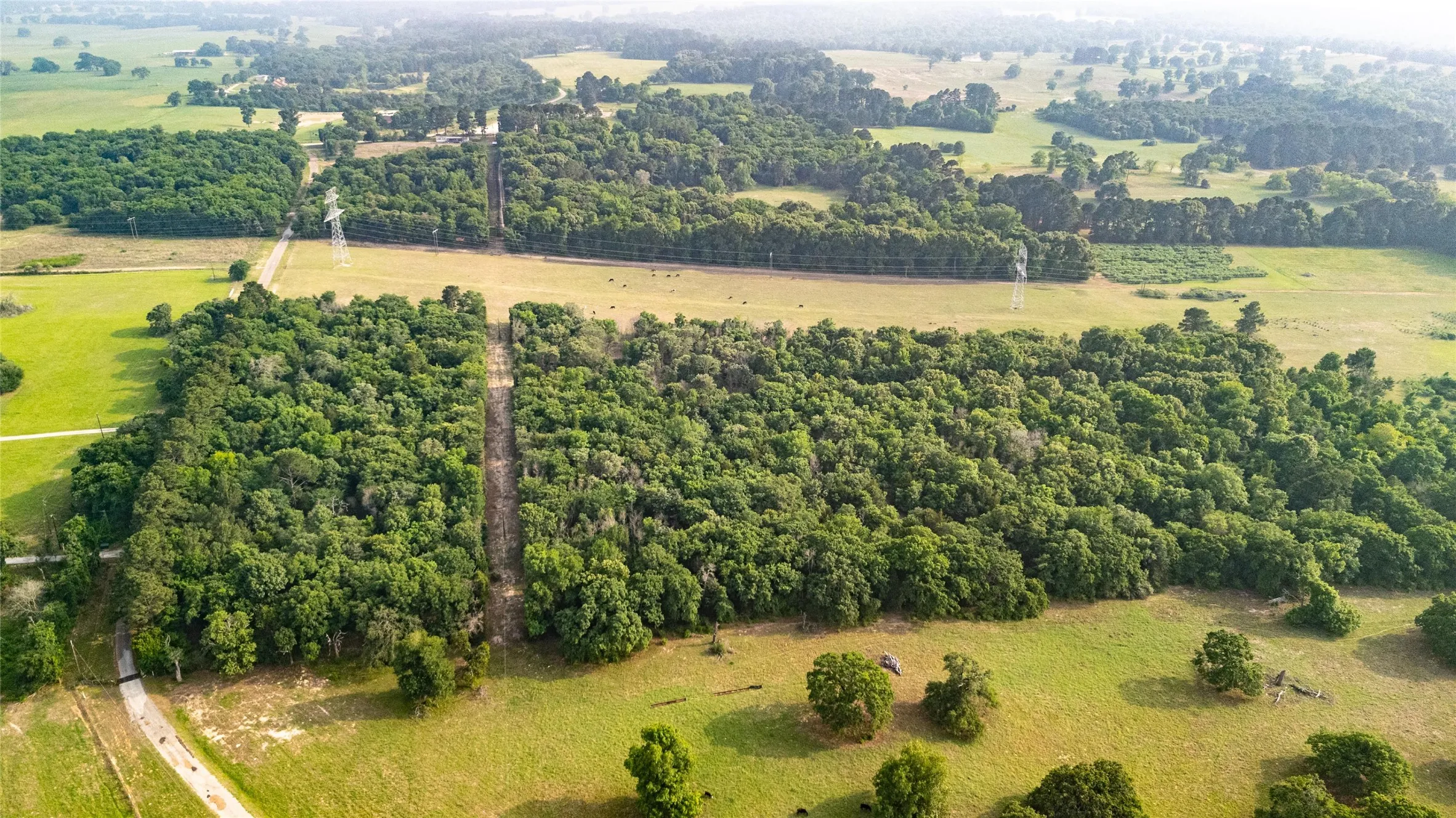 Expansive aerial view of undeveloped land featuring significant tree coverage and open grassy areas