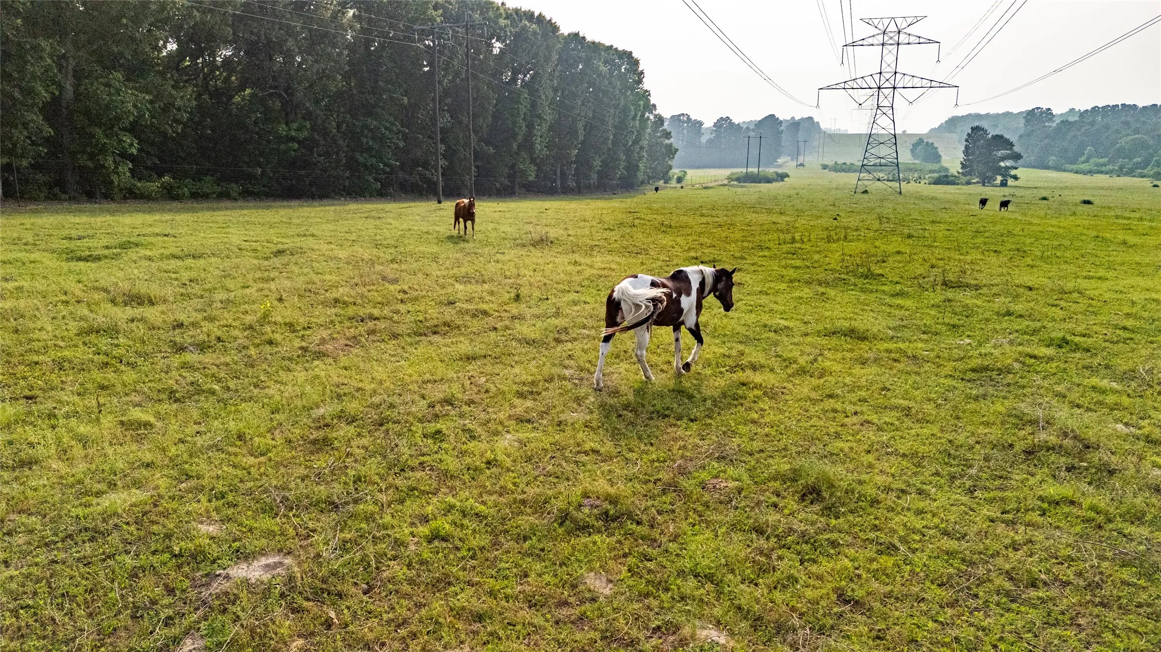 Unimproved Land For Sale in Henderson County , 000 County Road 4520, Larue, Texas 75770, 0, 0, Garage spaces, 0 Sqft, built in 0, Price $396,000, mls#21265449, Real Estate Agent in Larue, Homes For Sale in Henderson county, Homes For Sale in Larue, Realtor in Larue Texas, Real Estate Brokerage Independent Realty Texas, Luminita Cordes Realtor