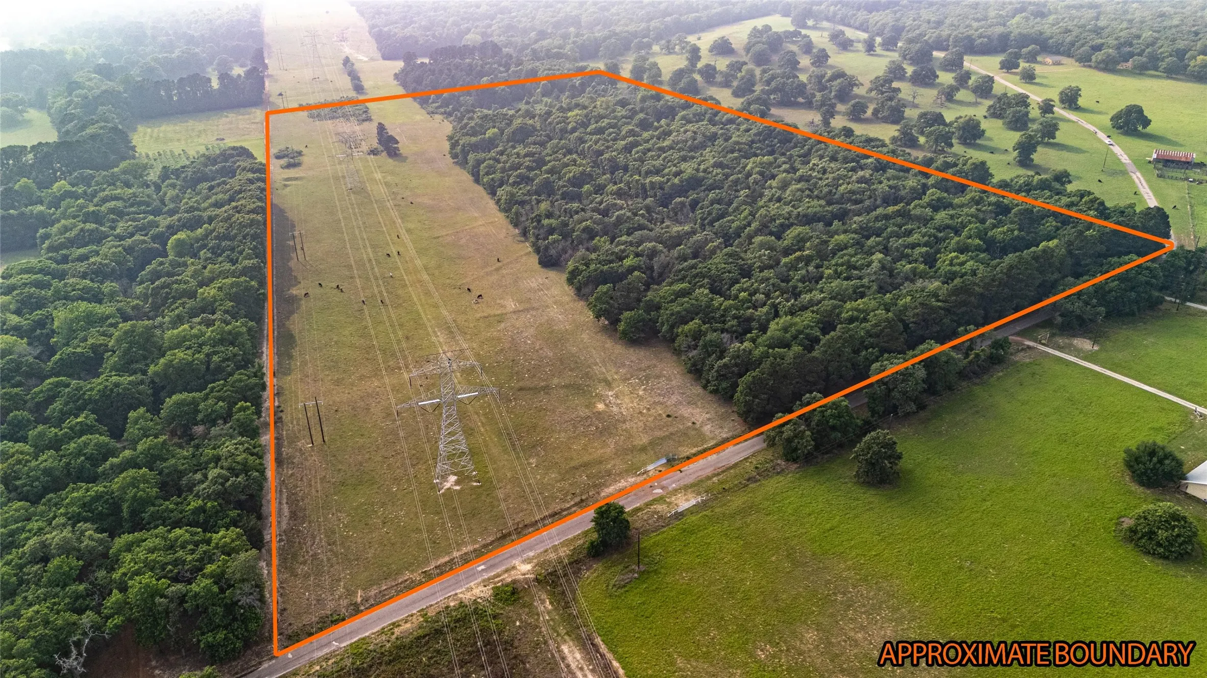 Expansive land parcel featuring substantial treed areas, open grassland, and direct road frontage
