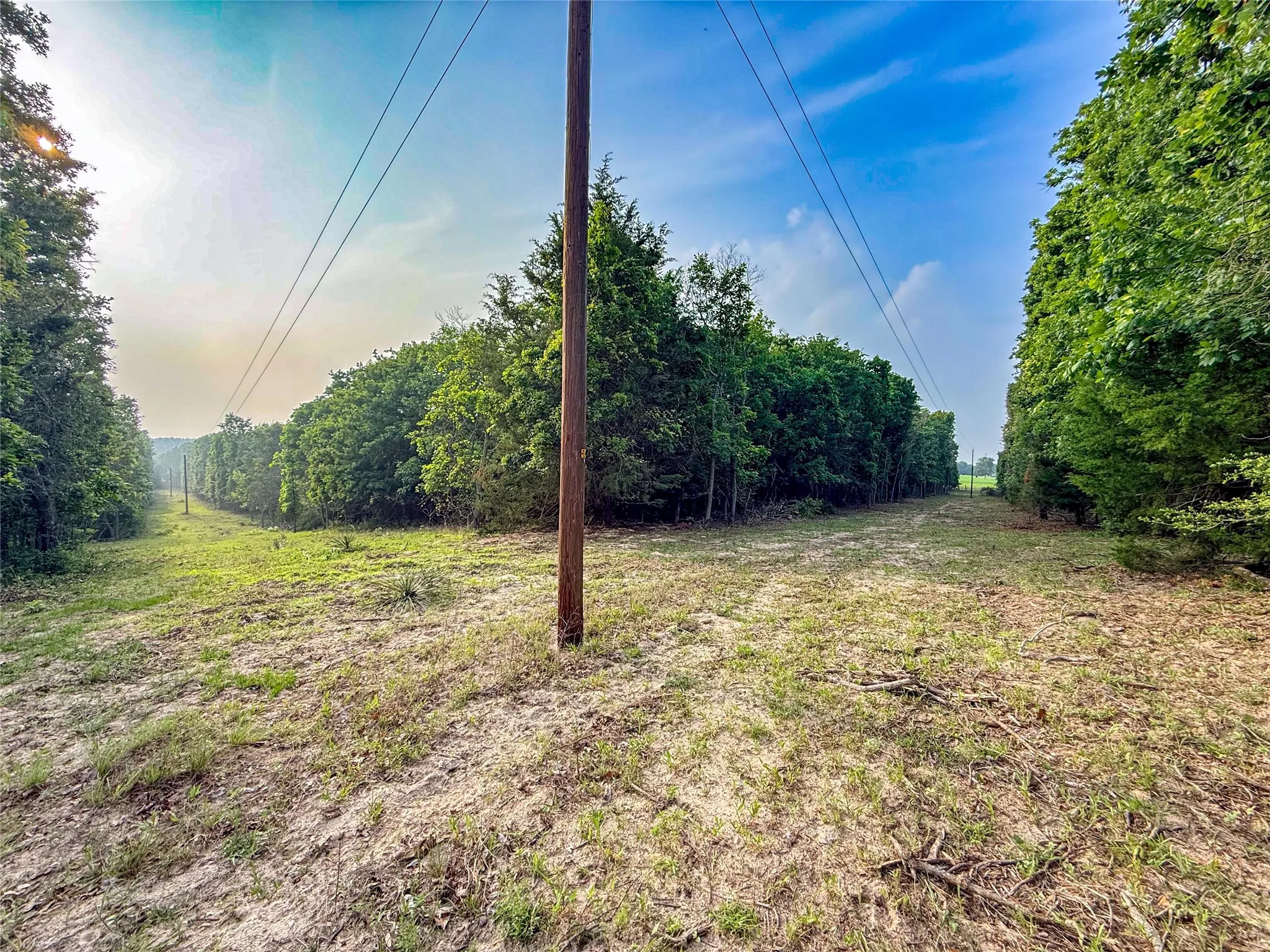 Cleared land bordered by mature trees