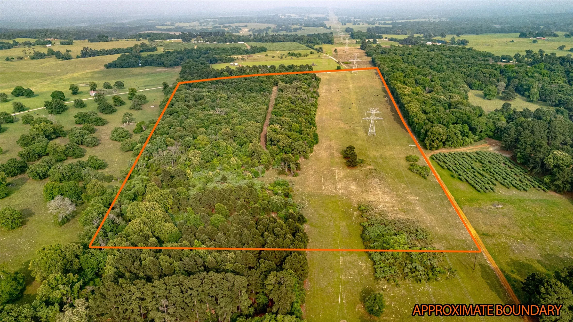 Expansive land parcel featuring a mix of mature woodland and open fields, providing diverse terrain