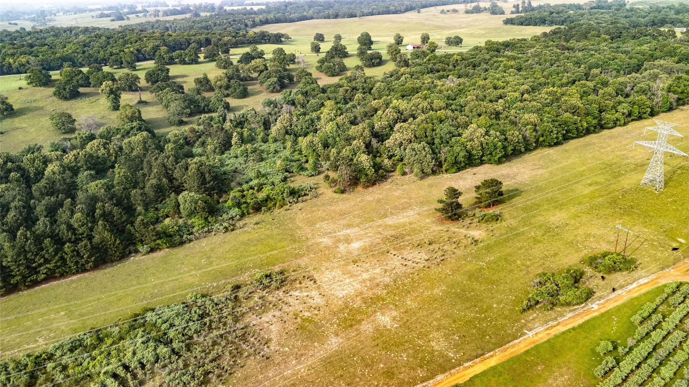 Expansive parcel featuring mature woodlands and open grassy fields