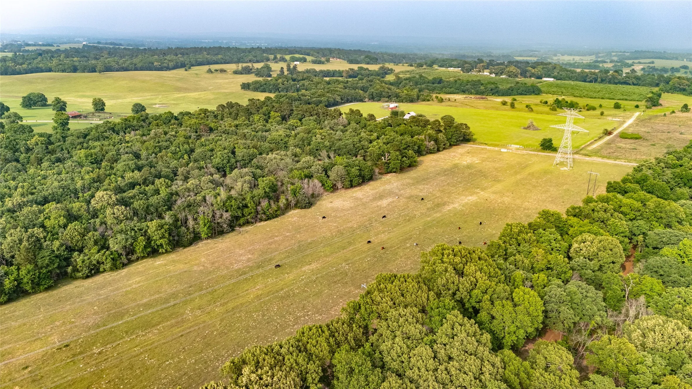 Expansive acreage featuring a mix of cleared fields and mature tree lines