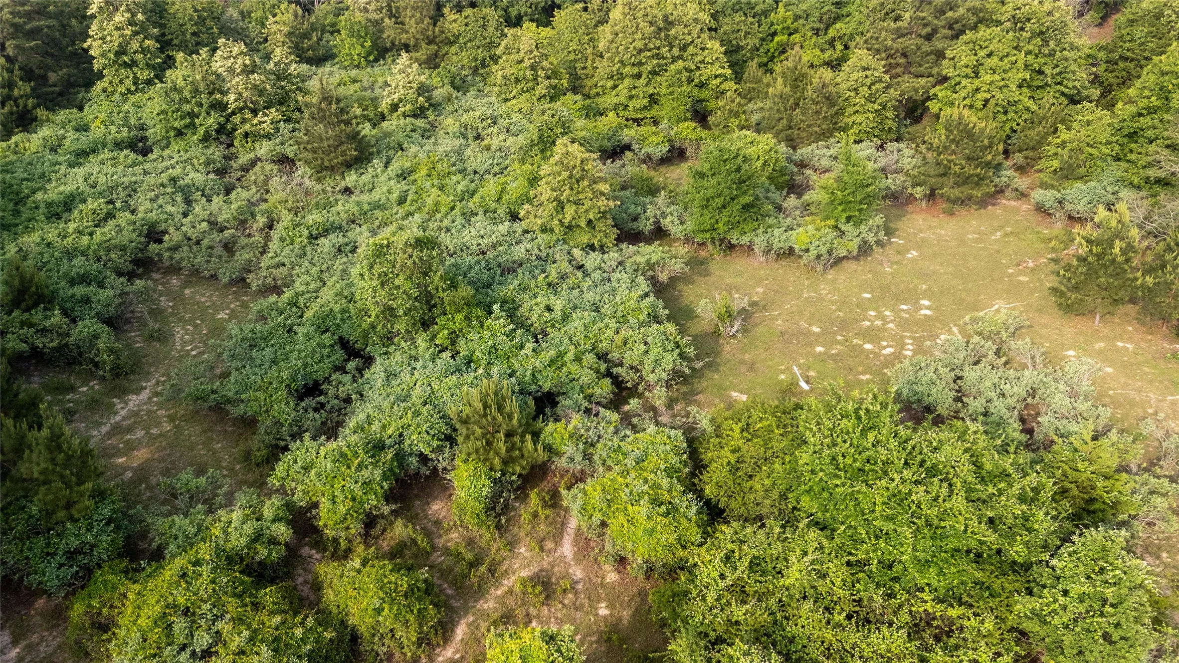 Expansive undeveloped land featuring diverse green foliage and scattered open grassy areas
