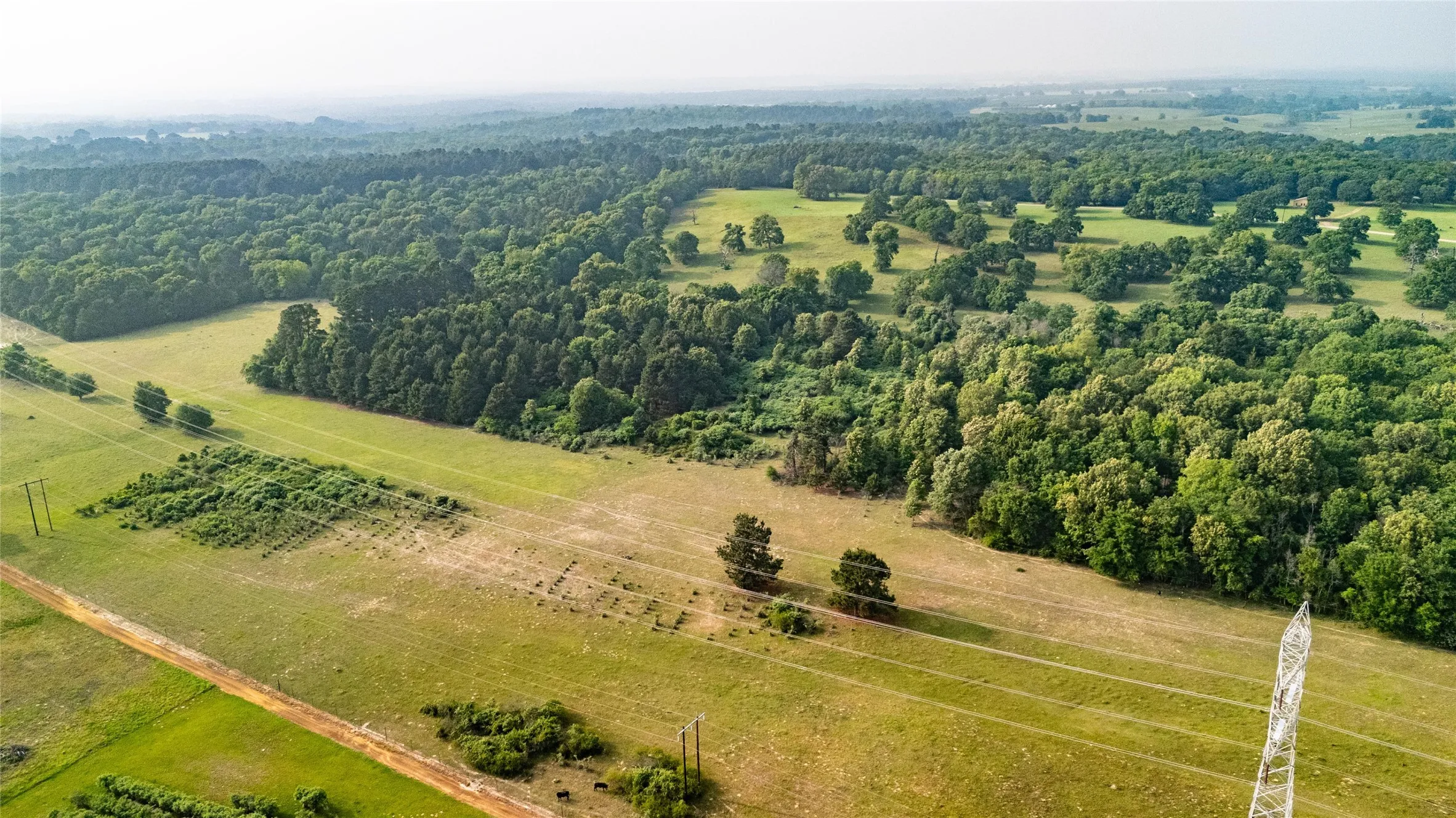 Expansive acreage featuring a mix of open fields, mature tree lines, and scattered clusters of broadleaf trees