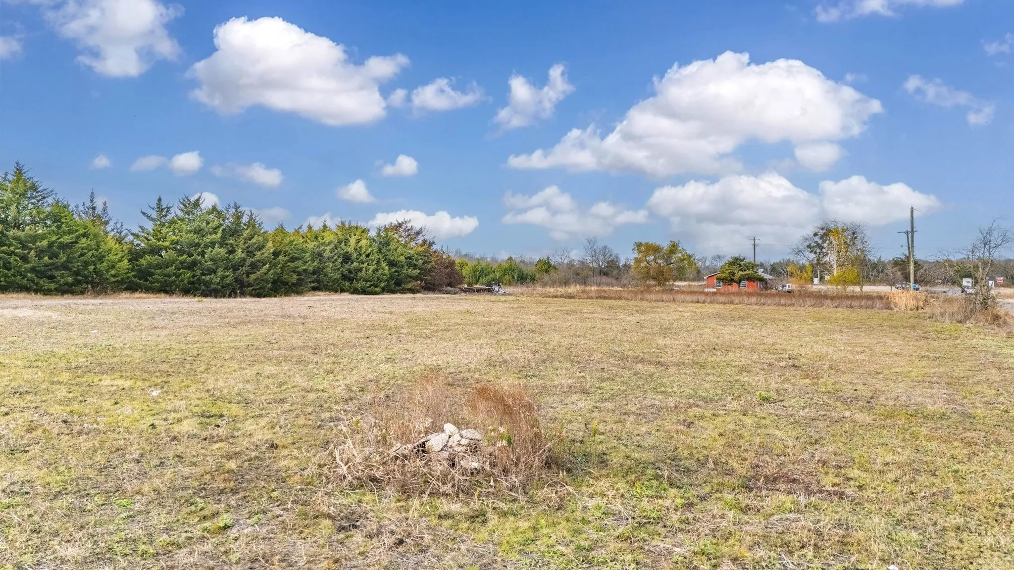Expansive open field featuring natural ground cover, a line of mature evergreen trees, and a clear sky with scattered clouds