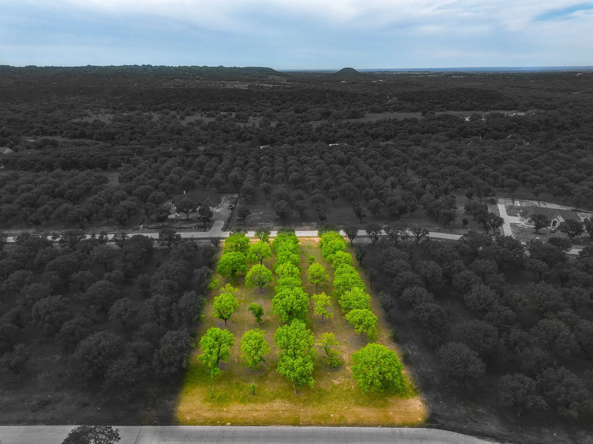 Improved Land For Sale in Hood County , 2354 E Landings S, Granbury, Texas 76049, 0, 0, Garage spaces, 0 Sqft, built in 0, mls#21260094, Real Estate Agent in Granbury, Homes For Sale in Hood county, Homes For Sale in Granbury, Realtor in Granbury Texas, Real Estate Brokerage Independent Realty Texas, Luminita Cordes Realtor
