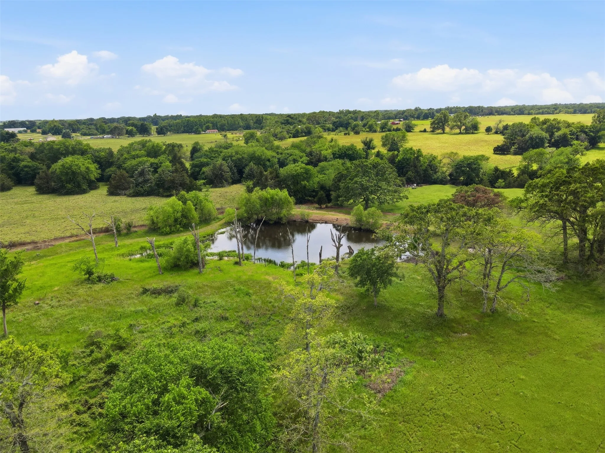 Farm For Sale in Hopkins County , 8737 E FM 1567, Sulphur Springs, Texas 75482, 5 Bedrooms, 3 Bathrooms, 2 Garage spaces, 2,650 Sqft, built in 2013, Price $990,000, mls#21265507, Real Estate Agent in Sulphur Springs, Homes For Sale in Hopkins county, Homes For Sale in Sulphur Springs, Realtor in Sulphur Springs Texas, Real Estate Brokerage Independent Realty Texas, Luminita Cordes Realtor
