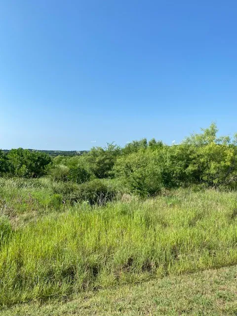 Unimproved Land For Sale in Palo Pinto County , Lot 203 Evening Primrose Drive, Possum Kingdom Lake, Texas 76449, 0, 0, Garage spaces, 0 Sqft, built in 0, mls#21265666, Real Estate Agent in Possum Kingdom Lake, Homes For Sale in Palo Pinto county, Homes For Sale in Possum Kingdom Lake, Realtor in Possum Kingdom Lake Texas, Real Estate Brokerage Independent Realty Texas, Luminita Cordes Realtor