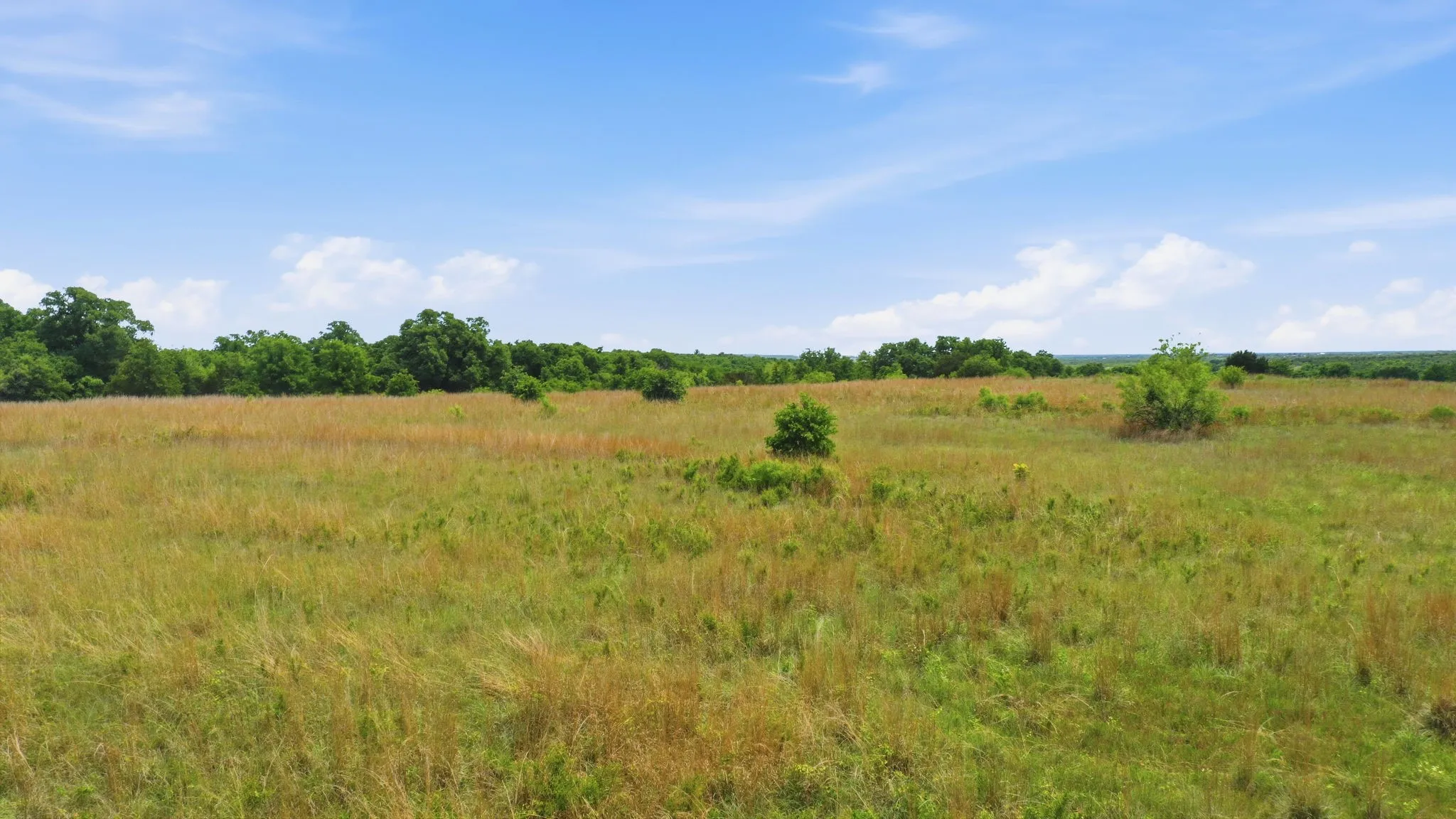 Unimproved Land For Sale in Parker County , 2050 Mustang Ridge, Perrin, Texas 76486, 0, 0, Garage spaces, 0 Sqft, built in 0, mls#21265671, Real Estate Agent in Perrin, Homes For Sale in Parker county, Homes For Sale in Perrin, Realtor in Perrin Texas, Real Estate Brokerage Independent Realty Texas, Luminita Cordes Realtor