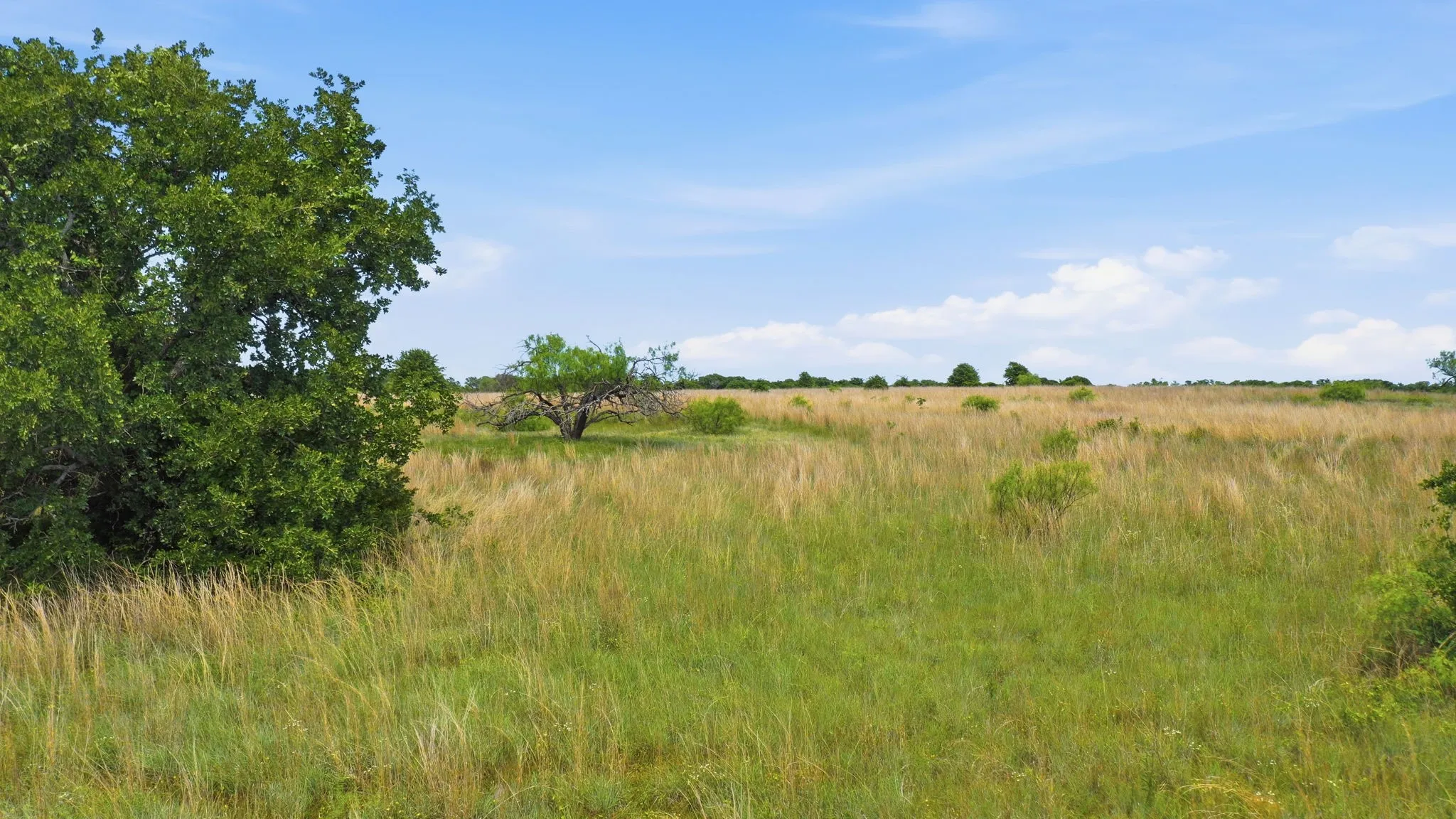 Unimproved Land For Sale in Parker County , 2050 Mustang Ridge, Perrin, Texas 76486, 0, 0, Garage spaces, 0 Sqft, built in 0, mls#21265671, Real Estate Agent in Perrin, Homes For Sale in Parker county, Homes For Sale in Perrin, Realtor in Perrin Texas, Real Estate Brokerage Independent Realty Texas, Luminita Cordes Realtor