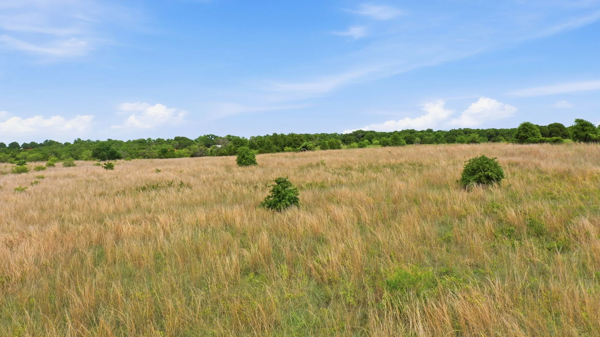 Unimproved Land For Sale in Parker County , 2050 Mustang Ridge, Perrin, Texas 76486, 0, 0, Garage spaces, 0 Sqft, built in 0, mls#21265671, Real Estate Agent in Perrin, Homes For Sale in Parker county, Homes For Sale in Perrin, Realtor in Perrin Texas, Real Estate Brokerage Independent Realty Texas, Luminita Cordes Realtor