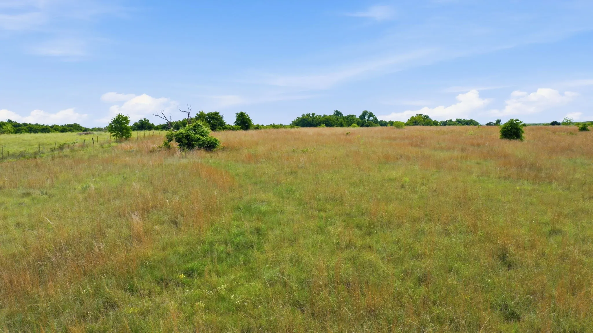 Unimproved Land For Sale in Parker County , 2050 Mustang Ridge, Perrin, Texas 76486, 0, 0, Garage spaces, 0 Sqft, built in 0, mls#21265671, Real Estate Agent in Perrin, Homes For Sale in Parker county, Homes For Sale in Perrin, Realtor in Perrin Texas, Real Estate Brokerage Independent Realty Texas, Luminita Cordes Realtor