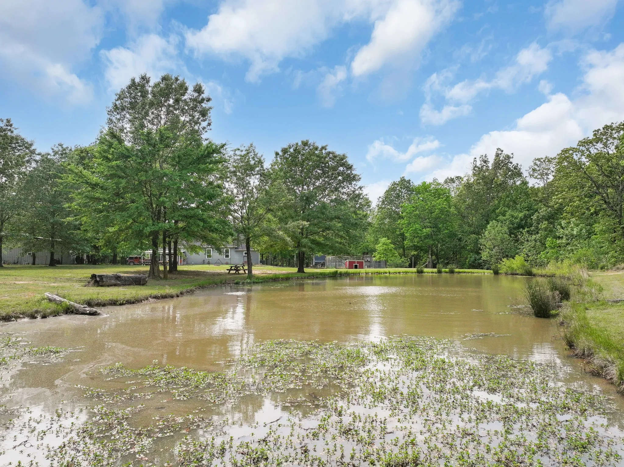 Single Family Residence For Sale in Franklin (TX) County , 2640 County Road 1030 NW, Mount Vernon, Texas 75457, 4 Bedroom, 2 Bathroom, 1 Garage spaces, 3,547 Sqft, built in 2012, mls#21265695, Real Estate Agent in Mount Vernon, Homes For Sale in Franklin (TX) county, Homes For Sale in Mount Vernon, Realtor in Mount Vernon Texas, Real Estate Brokerage Independent Realty Texas, Luminita Cordes Realtor