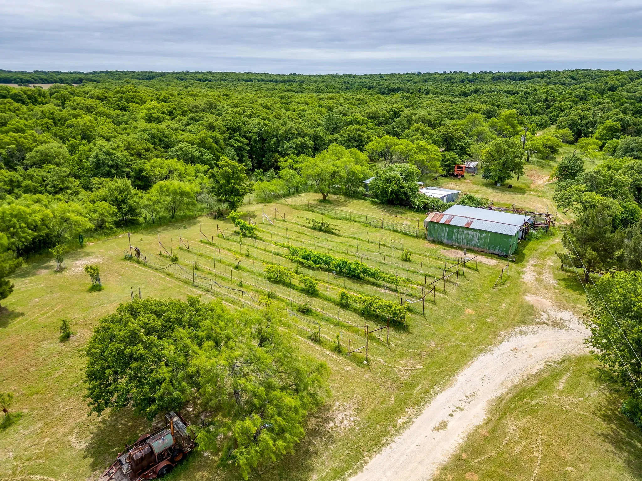 Single Family Residence For Sale in Jack County , 4180 E Fm 2210 E, Perrin, Texas 76486, 3 Bedroom, 2 Bathroom, Garage spaces, 2,019 Sqft, built in 1992, mls#21265642, Real Estate Agent in Perrin, Homes For Sale in Jack county, Homes For Sale in Perrin, Realtor in Perrin Texas, Real Estate Brokerage Independent Realty Texas, Luminita Cordes Realtor