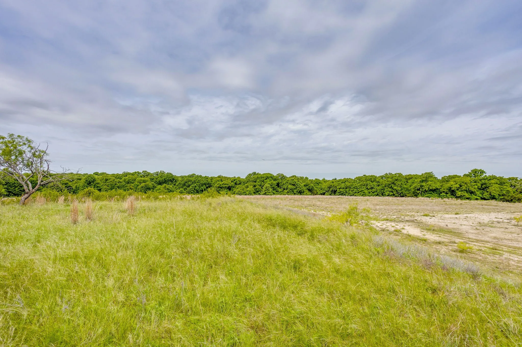 Single Family Residence For Sale in Jack County , 4180 E Fm 2210 E, Perrin, Texas 76486, 3 Bedroom, 2 Bathroom, Garage spaces, 2,019 Sqft, built in 1992, mls#21265642, Real Estate Agent in Perrin, Homes For Sale in Jack county, Homes For Sale in Perrin, Realtor in Perrin Texas, Real Estate Brokerage Independent Realty Texas, Luminita Cordes Realtor