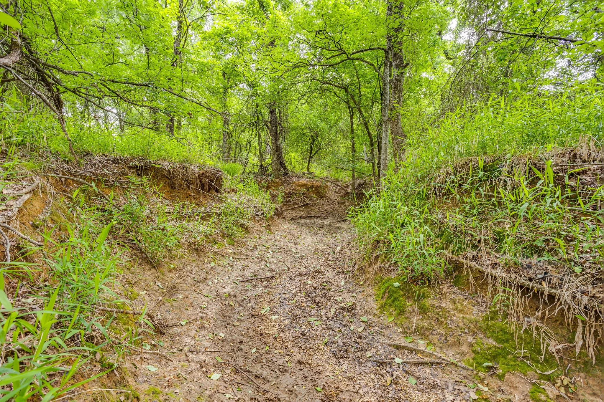 Single Family Residence For Sale in Jack County , 4180 E Fm 2210 E, Perrin, Texas 76486, 3 Bedroom, 2 Bathroom, Garage spaces, 2,019 Sqft, built in 1992, mls#21265642, Real Estate Agent in Perrin, Homes For Sale in Jack county, Homes For Sale in Perrin, Realtor in Perrin Texas, Real Estate Brokerage Independent Realty Texas, Luminita Cordes Realtor