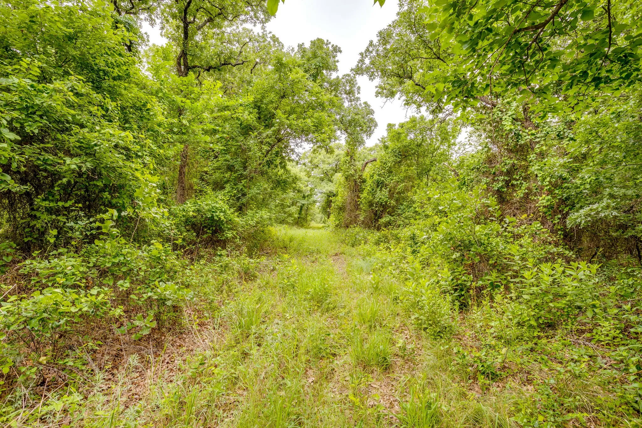 Single Family Residence For Sale in Jack County , 4180 E Fm 2210 E, Perrin, Texas 76486, 3 Bedroom, 2 Bathroom, Garage spaces, 2,019 Sqft, built in 1992, mls#21265642, Real Estate Agent in Perrin, Homes For Sale in Jack county, Homes For Sale in Perrin, Realtor in Perrin Texas, Real Estate Brokerage Independent Realty Texas, Luminita Cordes Realtor