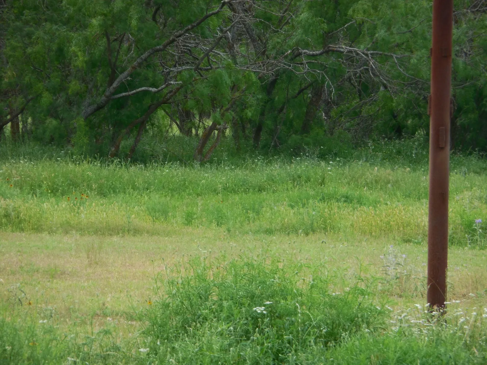 Improved Land For Sale in Eastland County , 605 E Loop 254, Ranger, Texas 76470, 0, 0, Garage spaces, 0 Sqft, built in 1950, Price $750,000, mls#21265767, Real Estate Agent in Ranger, Homes For Sale in Eastland county, Homes For Sale in Ranger, Realtor in Ranger Texas, Real Estate Brokerage Independent Realty Texas, Luminita Cordes Realtor