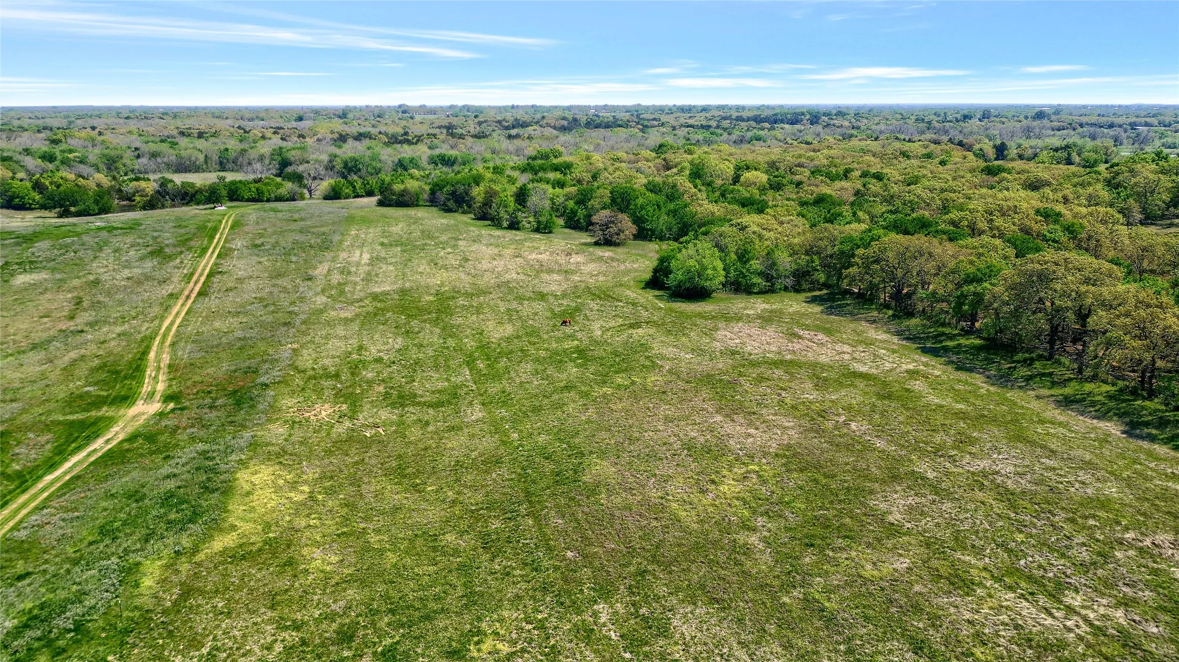 Unimproved Land For Sale in Grayson County , TBD W Line Road, Collinsville, Texas 76233, 0, 0, Garage spaces, 0 Sqft, built in 0, Price $699,000, mls#21258321, Real Estate Agent in Collinsville, Homes For Sale in Grayson county, Homes For Sale in Collinsville, Realtor in Collinsville Texas, Real Estate Brokerage Independent Realty Texas, Luminita Cordes Realtor