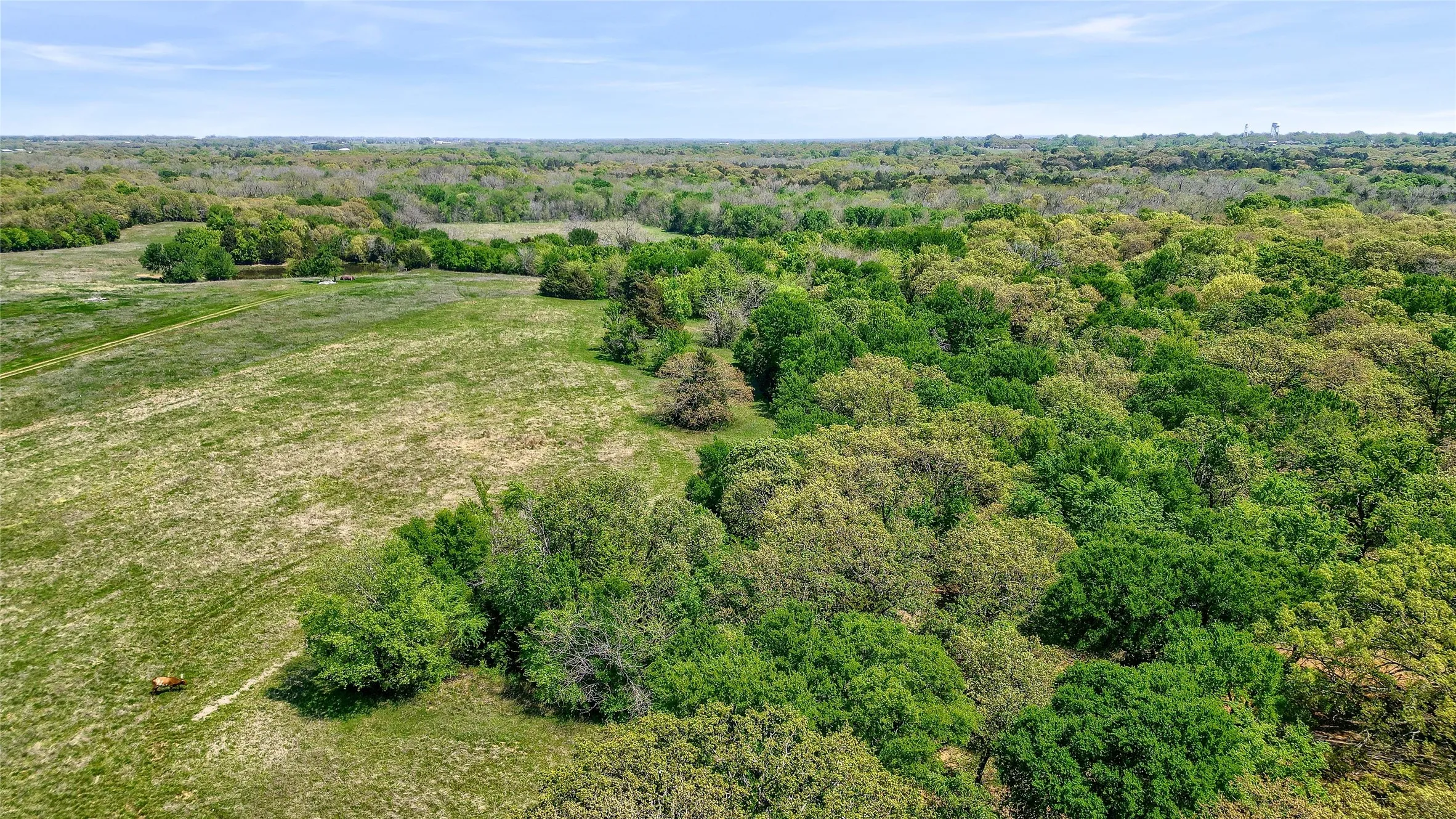 Unimproved Land For Sale in Grayson County , TBD W Line Road, Collinsville, Texas 76233, 0, 0, Garage spaces, 0 Sqft, built in 0, Price $699,000, mls#21258321, Real Estate Agent in Collinsville, Homes For Sale in Grayson county, Homes For Sale in Collinsville, Realtor in Collinsville Texas, Real Estate Brokerage Independent Realty Texas, Luminita Cordes Realtor