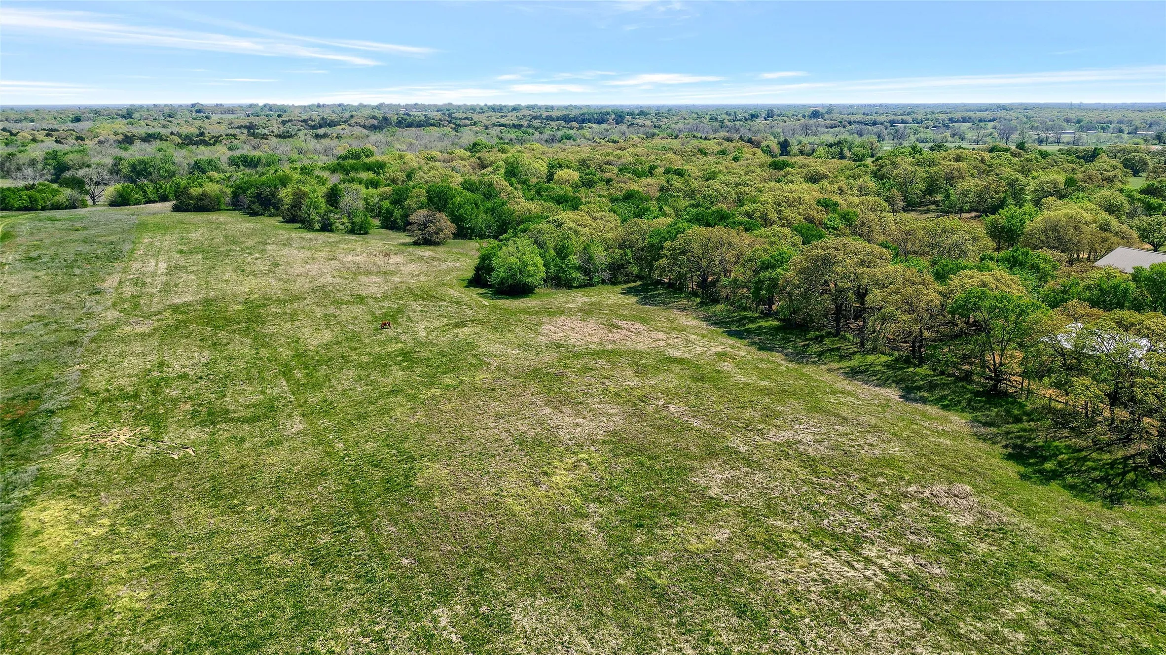 Unimproved Land For Sale in Grayson County , TBD W Line Road, Collinsville, Texas 76233, 0, 0, Garage spaces, 0 Sqft, built in 0, Price $699,000, mls#21258321, Real Estate Agent in Collinsville, Homes For Sale in Grayson county, Homes For Sale in Collinsville, Realtor in Collinsville Texas, Real Estate Brokerage Independent Realty Texas, Luminita Cordes Realtor