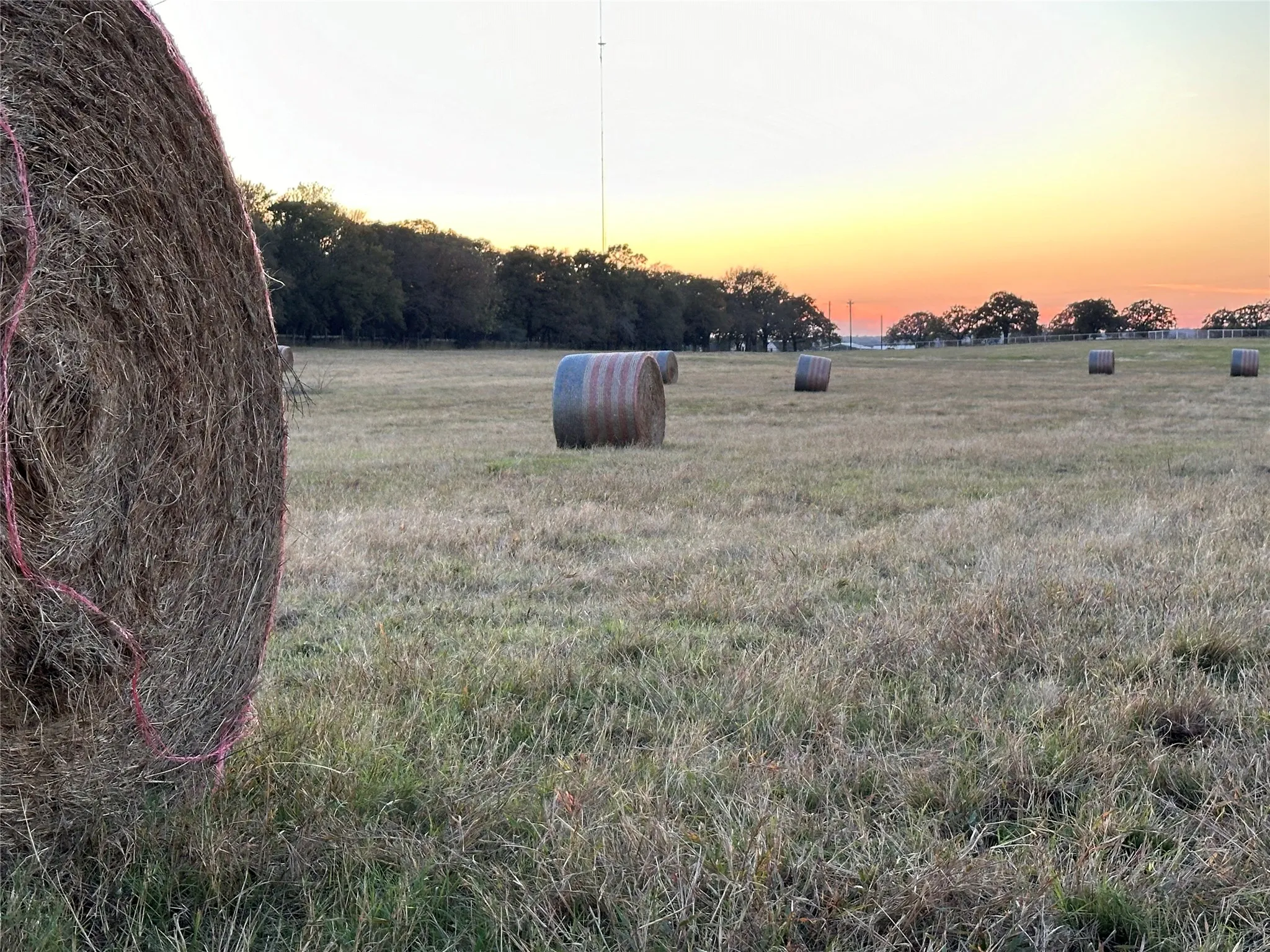 Unimproved Land For Sale in Grayson County , TBD W Line Road, Collinsville, Texas 76233, 0, 0, Garage spaces, 0 Sqft, built in 0, Price $699,000, mls#21258321, Real Estate Agent in Collinsville, Homes For Sale in Grayson county, Homes For Sale in Collinsville, Realtor in Collinsville Texas, Real Estate Brokerage Independent Realty Texas, Luminita Cordes Realtor