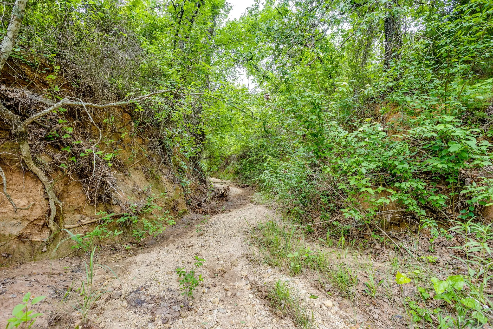 Improved Land For Sale in Jack County , 4180 E Fm 2210 E, Perrin, Texas 76486, 0, 0, Garage spaces, 0 Sqft, built in 1992, mls#21265765, Real Estate Agent in Perrin, Homes For Sale in Jack county, Homes For Sale in Perrin, Realtor in Perrin Texas, Real Estate Brokerage Independent Realty Texas, Luminita Cordes Realtor