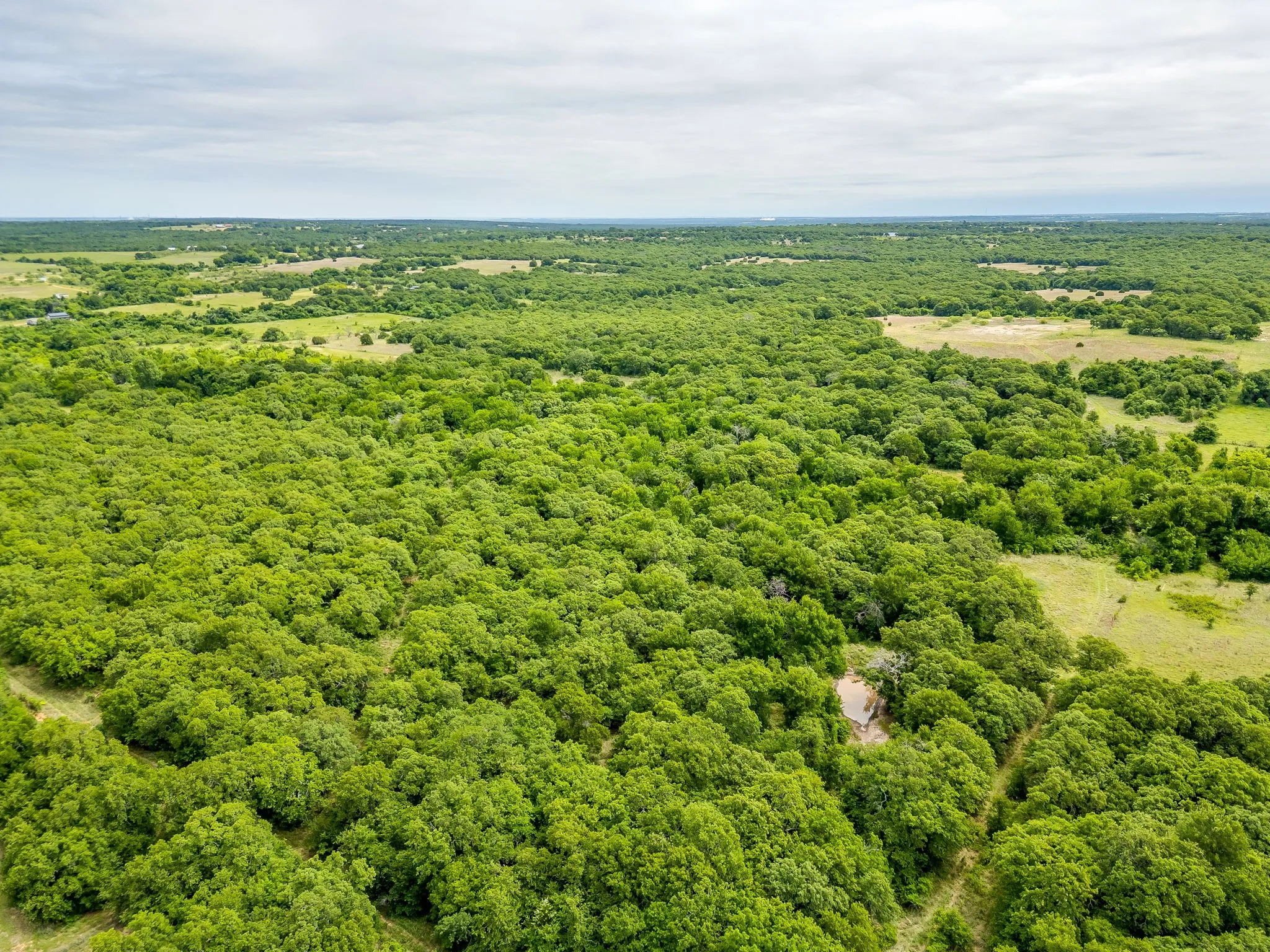 Improved Land For Sale in Jack County , 4180 E Fm 2210 E, Perrin, Texas 76486, 0, 0, Garage spaces, 0 Sqft, built in 1992, mls#21265765, Real Estate Agent in Perrin, Homes For Sale in Jack county, Homes For Sale in Perrin, Realtor in Perrin Texas, Real Estate Brokerage Independent Realty Texas, Luminita Cordes Realtor