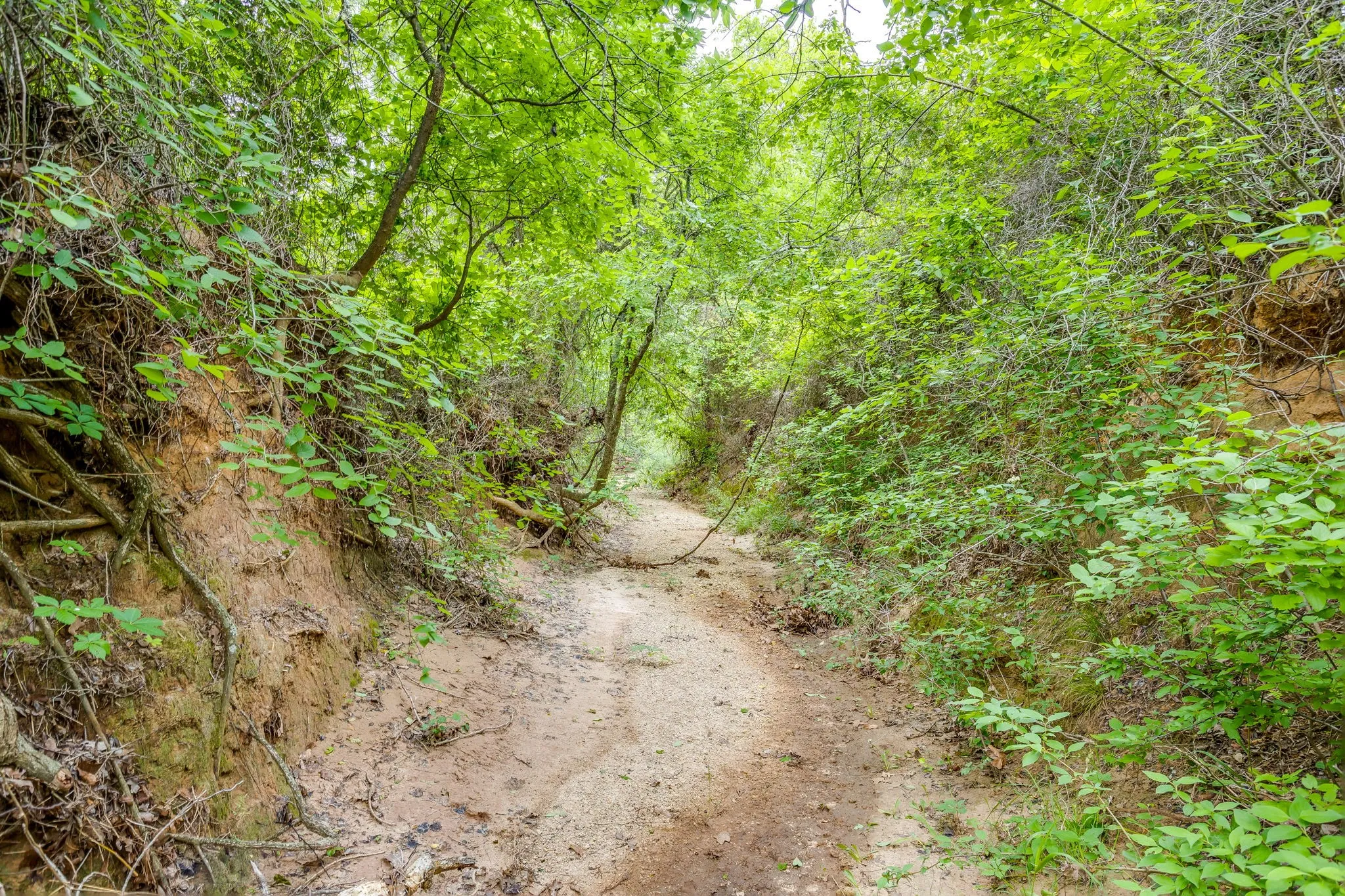 Improved Land For Sale in Jack County , 4180 E Fm 2210 E, Perrin, Texas 76486, 0, 0, Garage spaces, 0 Sqft, built in 1992, mls#21265765, Real Estate Agent in Perrin, Homes For Sale in Jack county, Homes For Sale in Perrin, Realtor in Perrin Texas, Real Estate Brokerage Independent Realty Texas, Luminita Cordes Realtor