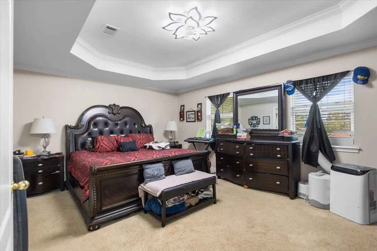 Recessed tray ceiling with crown molding, carpeted flooring, and window treatments
