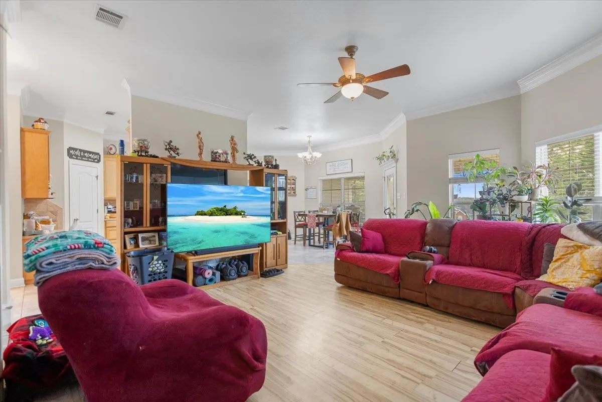 Spacious living area featuring light wood-finish flooring, a ceiling fan with integrated lighting, and multiple windows