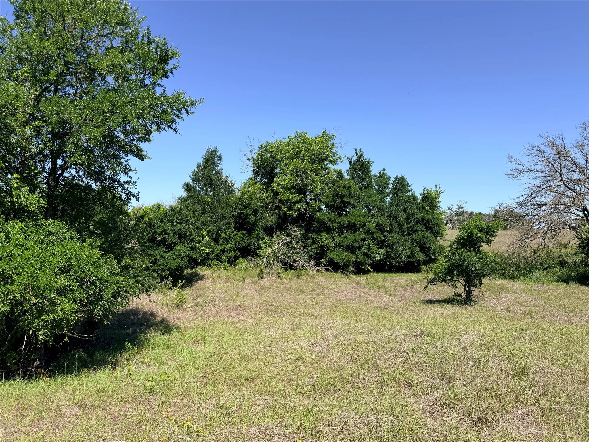 Ranch For Sale in Mills County , 2455 FM 1047, Star, Texas 76880, 0, 0, Garage spaces, 0 Sqft, built in 0, Price $179,950, mls#21265870, Real Estate Agent in Star, Homes For Sale in Mills county, Homes For Sale in Star, Realtor in Star Texas, Real Estate Brokerage Independent Realty Texas, Luminita Cordes Realtor