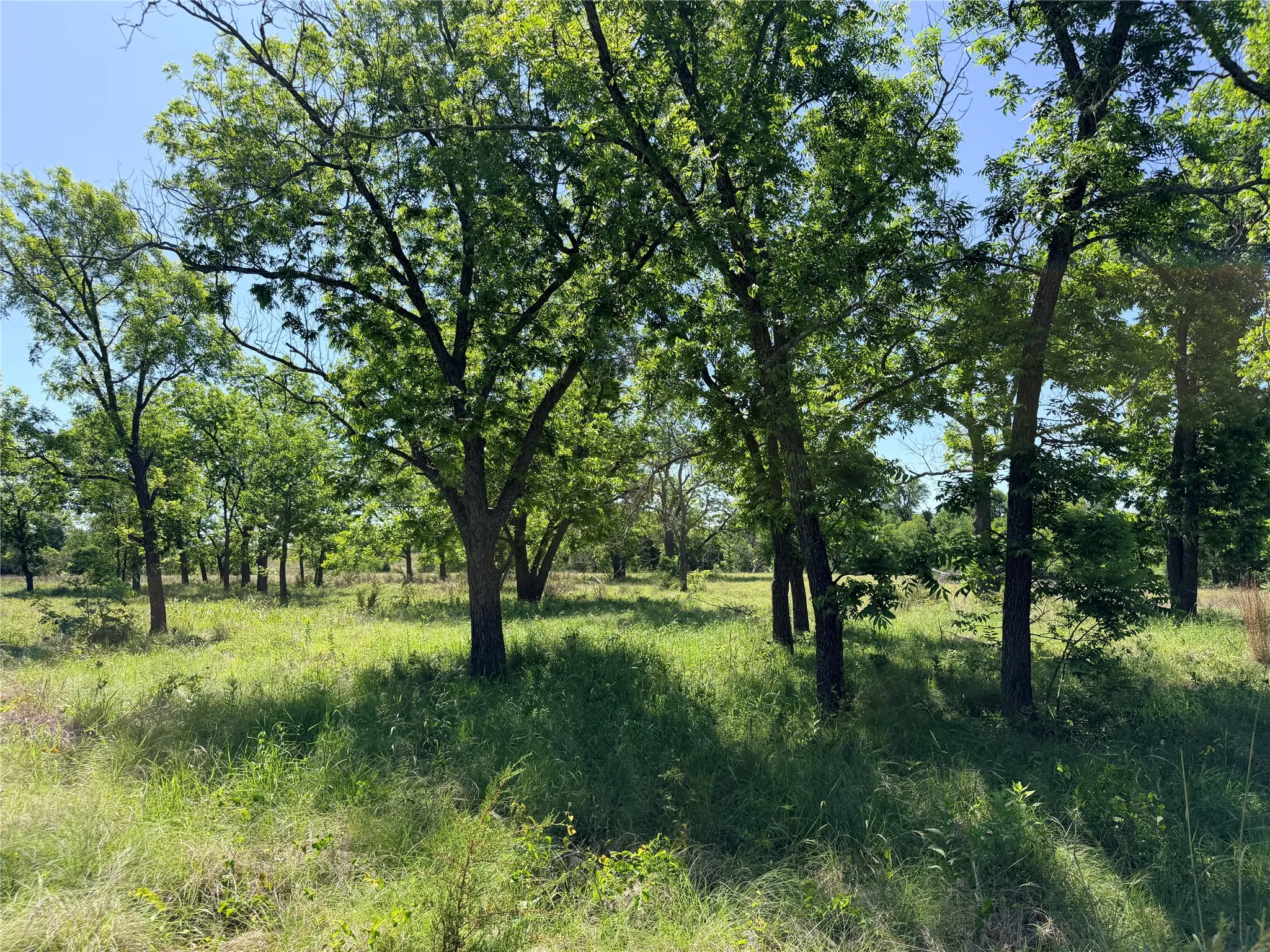 Ranch For Sale in Mills County , 2455 FM 1047, Star, Texas 76880, 0, 0, Garage spaces, 0 Sqft, built in 0, Price $179,950, mls#21265870, Real Estate Agent in Star, Homes For Sale in Mills county, Homes For Sale in Star, Realtor in Star Texas, Real Estate Brokerage Independent Realty Texas, Luminita Cordes Realtor