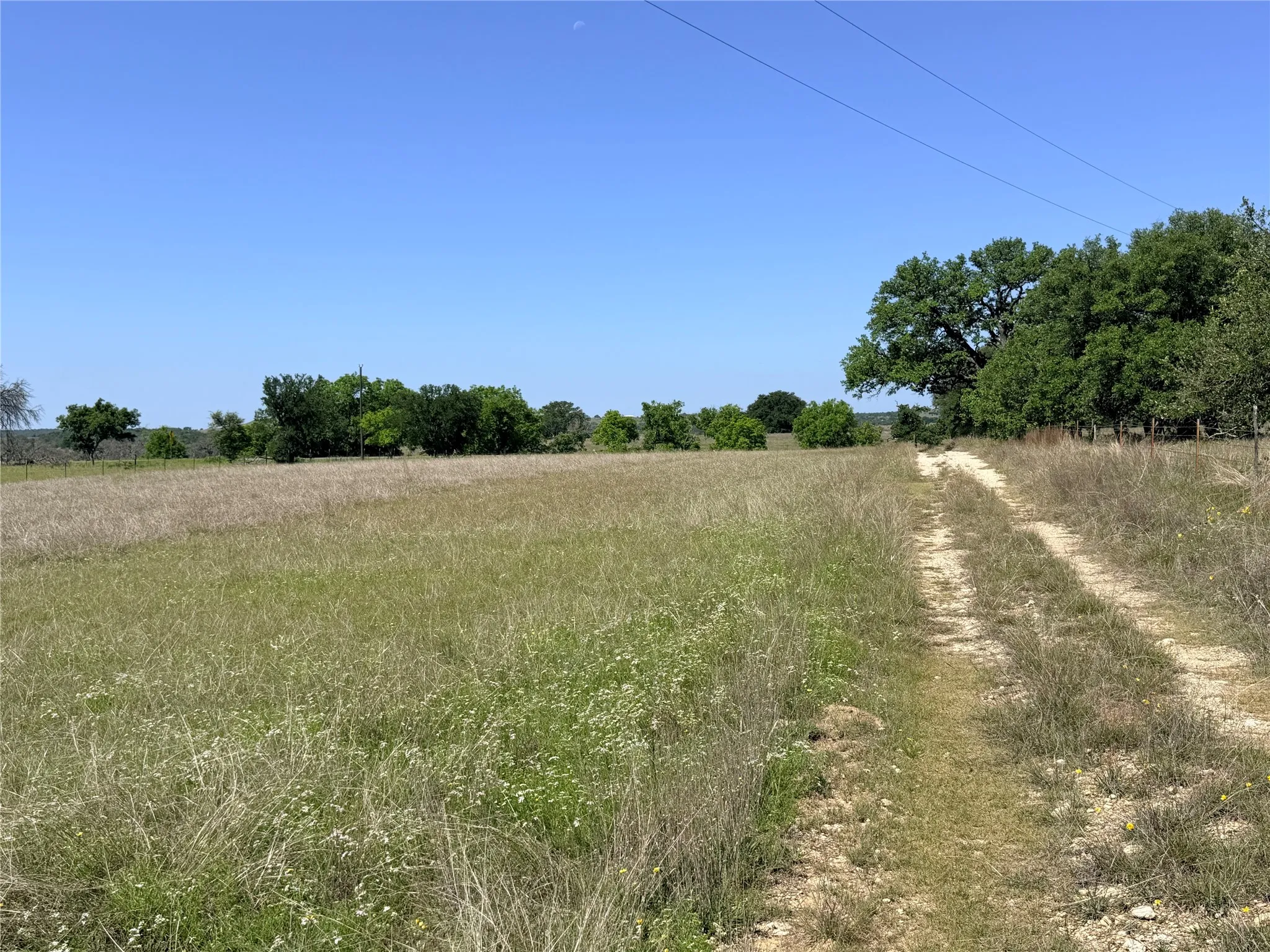 Ranch For Sale in Mills County , 2455 FM 1047, Star, Texas 76880, 0, 0, Garage spaces, 0 Sqft, built in 0, Price $179,950, mls#21265870, Real Estate Agent in Star, Homes For Sale in Mills county, Homes For Sale in Star, Realtor in Star Texas, Real Estate Brokerage Independent Realty Texas, Luminita Cordes Realtor