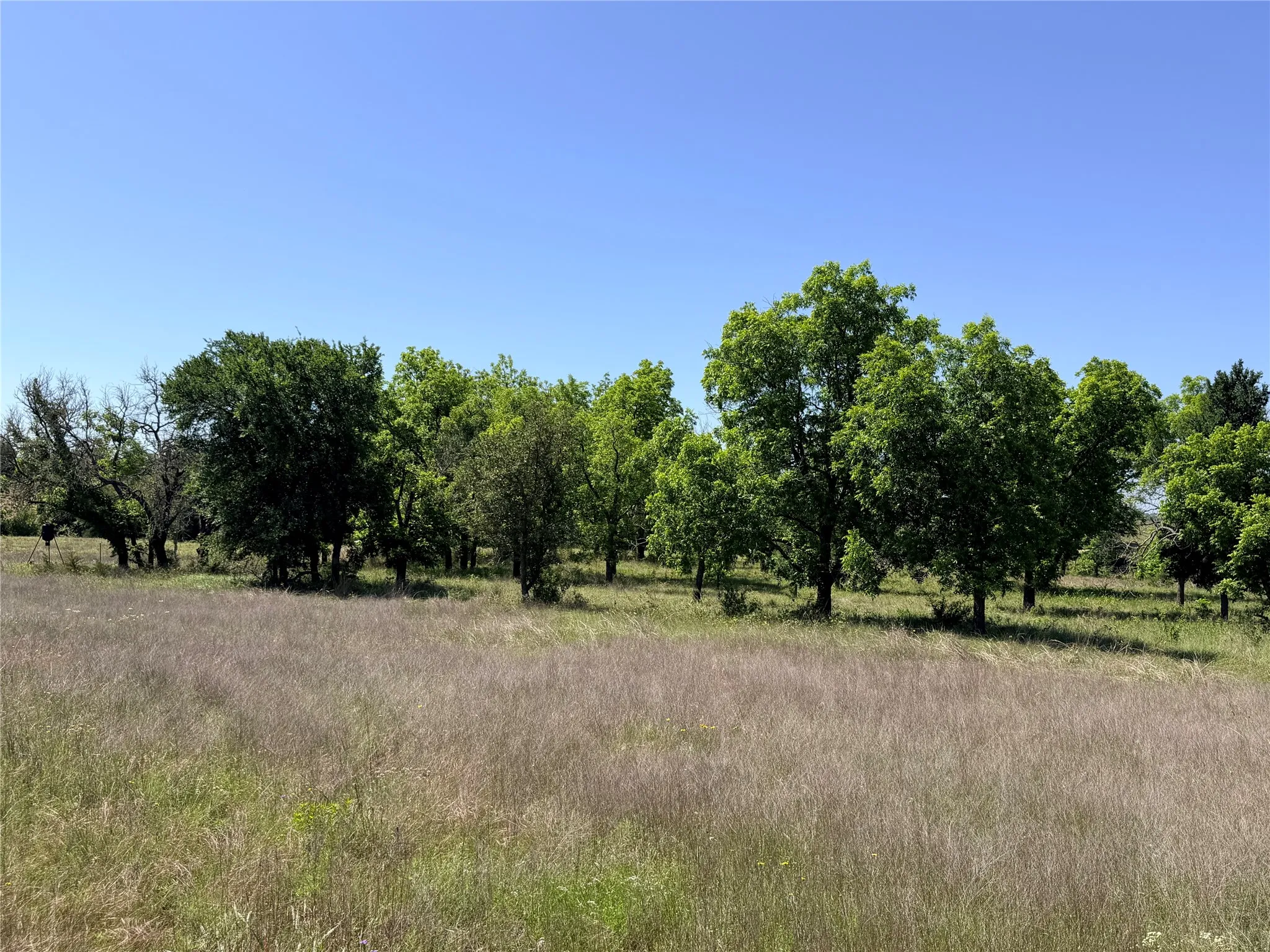 Ranch For Sale in Mills County , 2455 FM 1047, Star, Texas 76880, 0, 0, Garage spaces, 0 Sqft, built in 0, Price $179,950, mls#21265870, Real Estate Agent in Star, Homes For Sale in Mills county, Homes For Sale in Star, Realtor in Star Texas, Real Estate Brokerage Independent Realty Texas, Luminita Cordes Realtor