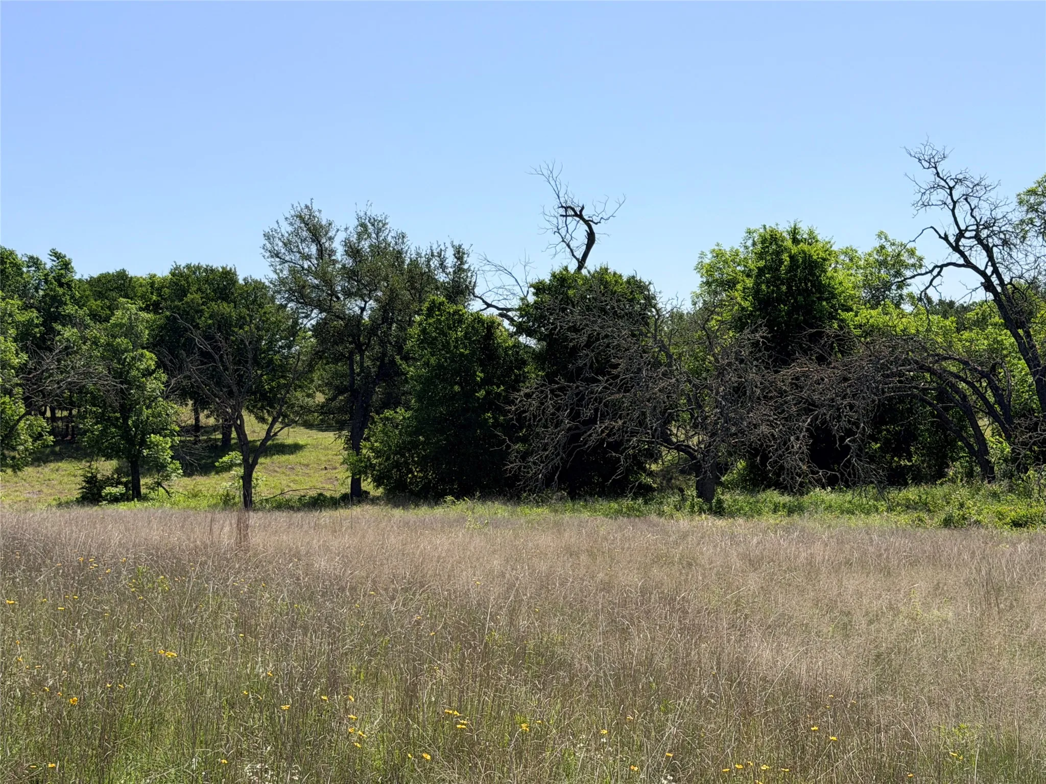 Ranch For Sale in Mills County , 2455 FM 1047, Star, Texas 76880, 0, 0, Garage spaces, 0 Sqft, built in 0, Price $179,950, mls#21265870, Real Estate Agent in Star, Homes For Sale in Mills county, Homes For Sale in Star, Realtor in Star Texas, Real Estate Brokerage Independent Realty Texas, Luminita Cordes Realtor