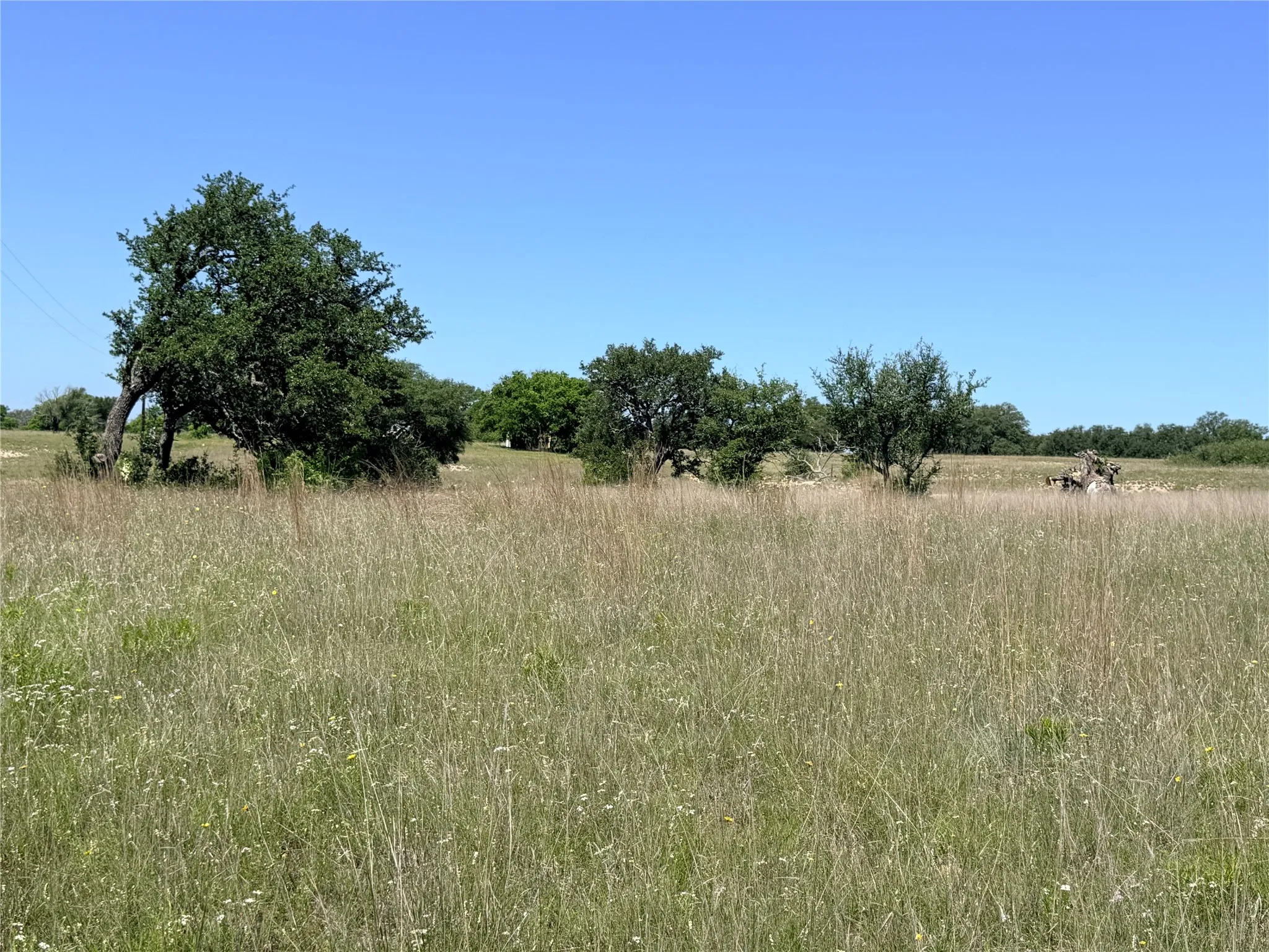 Ranch For Sale in Mills County , 2455 FM 1047, Star, Texas 76880, 0, 0, Garage spaces, 0 Sqft, built in 0, Price $179,950, mls#21265870, Real Estate Agent in Star, Homes For Sale in Mills county, Homes For Sale in Star, Realtor in Star Texas, Real Estate Brokerage Independent Realty Texas, Luminita Cordes Realtor