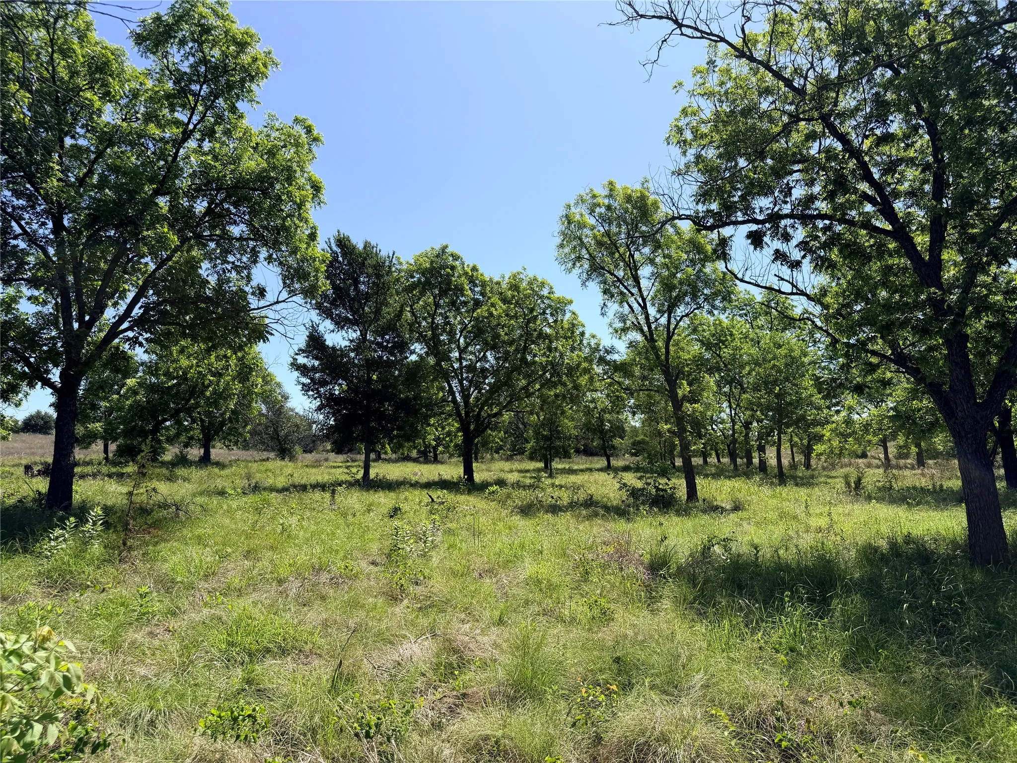 Ranch For Sale in Mills County , 2455 FM 1047, Star, Texas 76880, 0, 0, Garage spaces, 0 Sqft, built in 0, Price $179,950, mls#21265870, Real Estate Agent in Star, Homes For Sale in Mills county, Homes For Sale in Star, Realtor in Star Texas, Real Estate Brokerage Independent Realty Texas, Luminita Cordes Realtor
