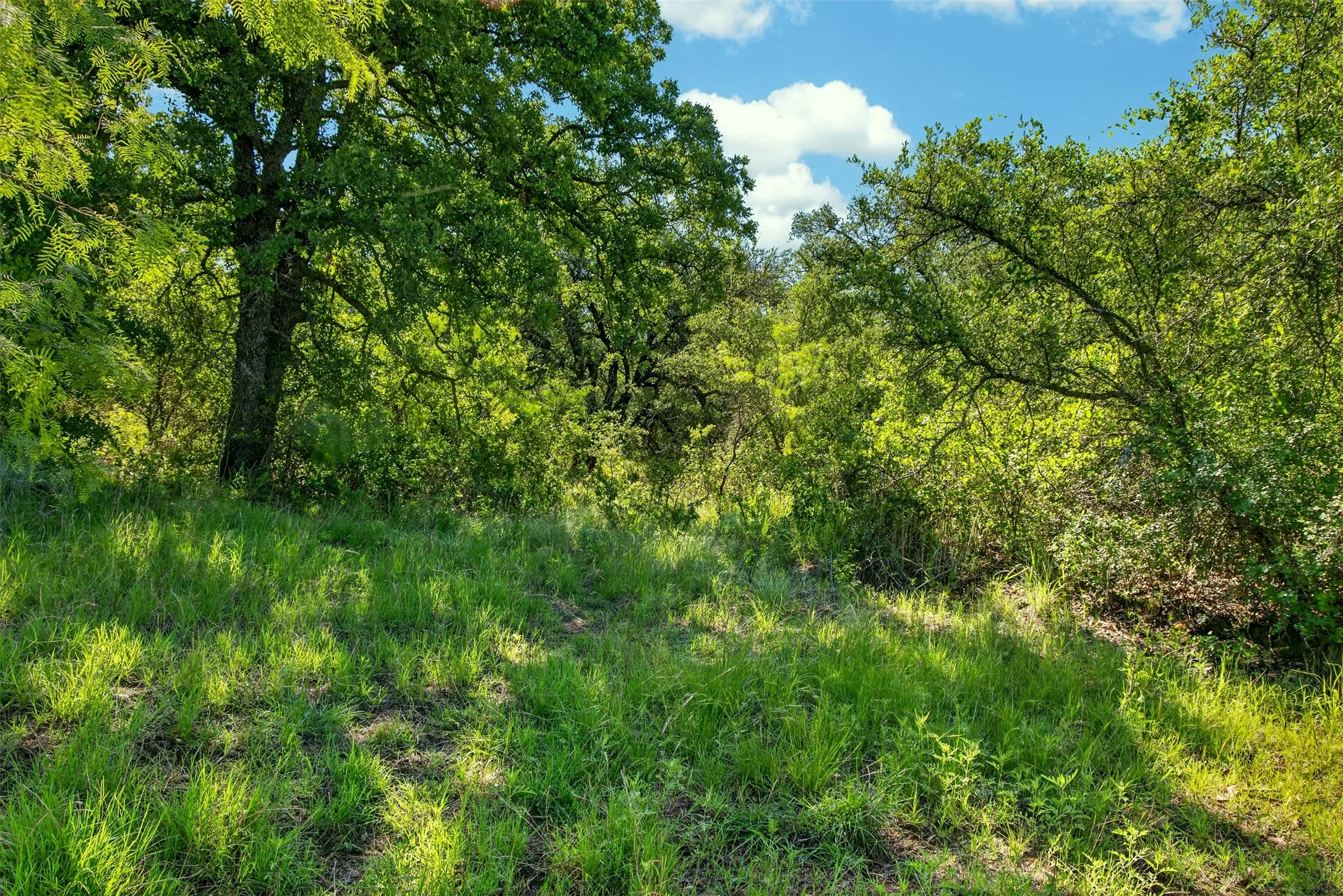 Ranch For Sale in Eastland County , TBD CR 144, Cisco, Texas 76437, 0, 0, Garage spaces, 0 Sqft, built in 0, mls#21264134, Real Estate Agent in Cisco, Homes For Sale in Eastland county, Homes For Sale in Cisco, Realtor in Cisco Texas, Real Estate Brokerage Independent Realty Texas, Luminita Cordes Realtor