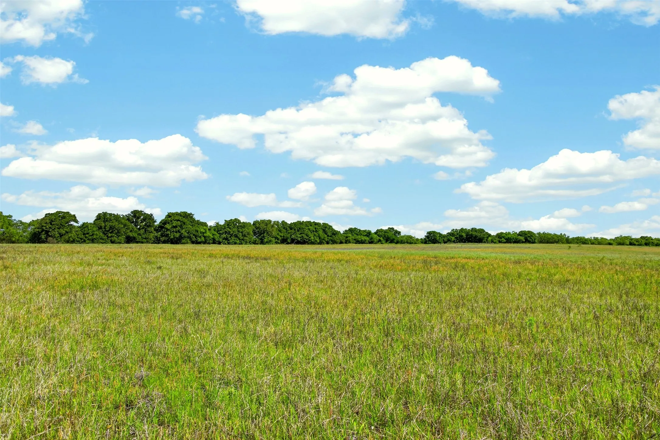 Ranch For Sale in Eastland County , TBD CR 144, Cisco, Texas 76437, 0, 0, Garage spaces, 0 Sqft, built in 0, mls#21264134, Real Estate Agent in Cisco, Homes For Sale in Eastland county, Homes For Sale in Cisco, Realtor in Cisco Texas, Real Estate Brokerage Independent Realty Texas, Luminita Cordes Realtor