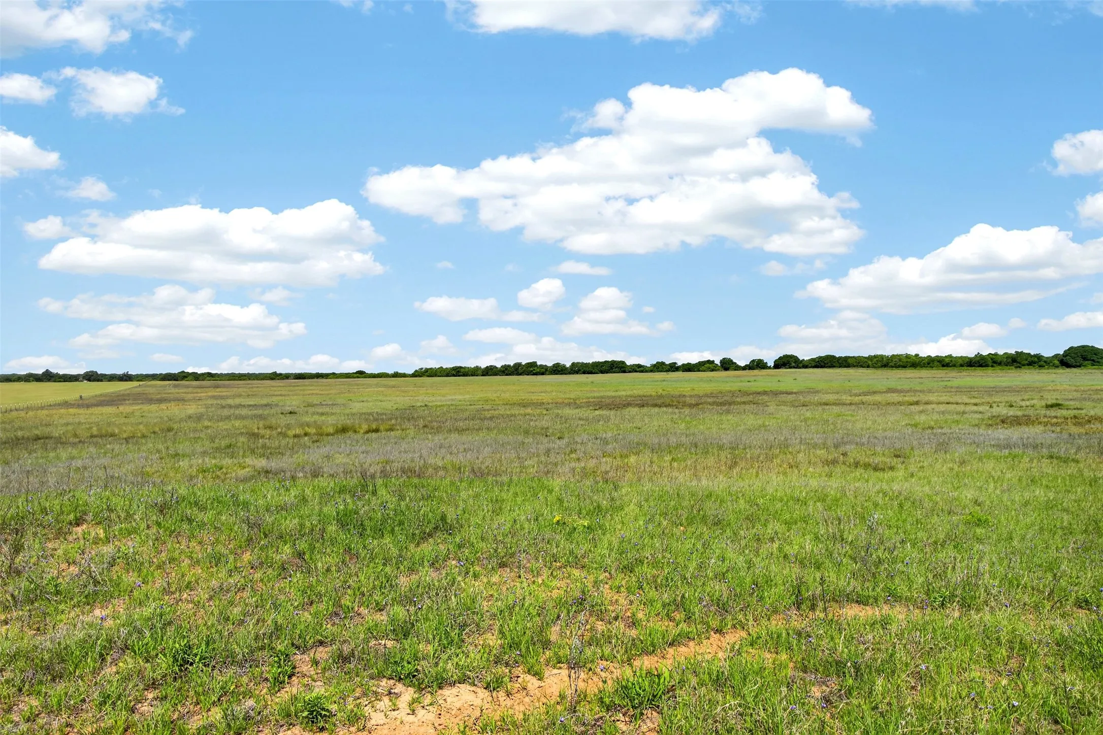 Ranch For Sale in Eastland County , TBD CR 144, Cisco, Texas 76437, 0, 0, Garage spaces, 0 Sqft, built in 0, mls#21264134, Real Estate Agent in Cisco, Homes For Sale in Eastland county, Homes For Sale in Cisco, Realtor in Cisco Texas, Real Estate Brokerage Independent Realty Texas, Luminita Cordes Realtor