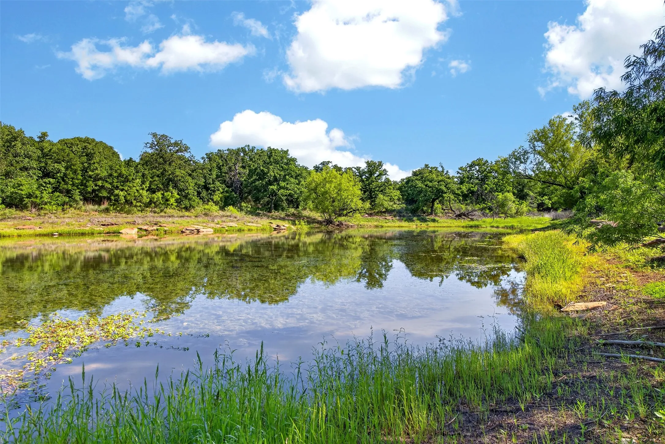 Ranch For Sale in Eastland County , TBD CR 144, Cisco, Texas 76437, 0, 0, Garage spaces, 0 Sqft, built in 0, mls#21264134, Real Estate Agent in Cisco, Homes For Sale in Eastland county, Homes For Sale in Cisco, Realtor in Cisco Texas, Real Estate Brokerage Independent Realty Texas, Luminita Cordes Realtor
