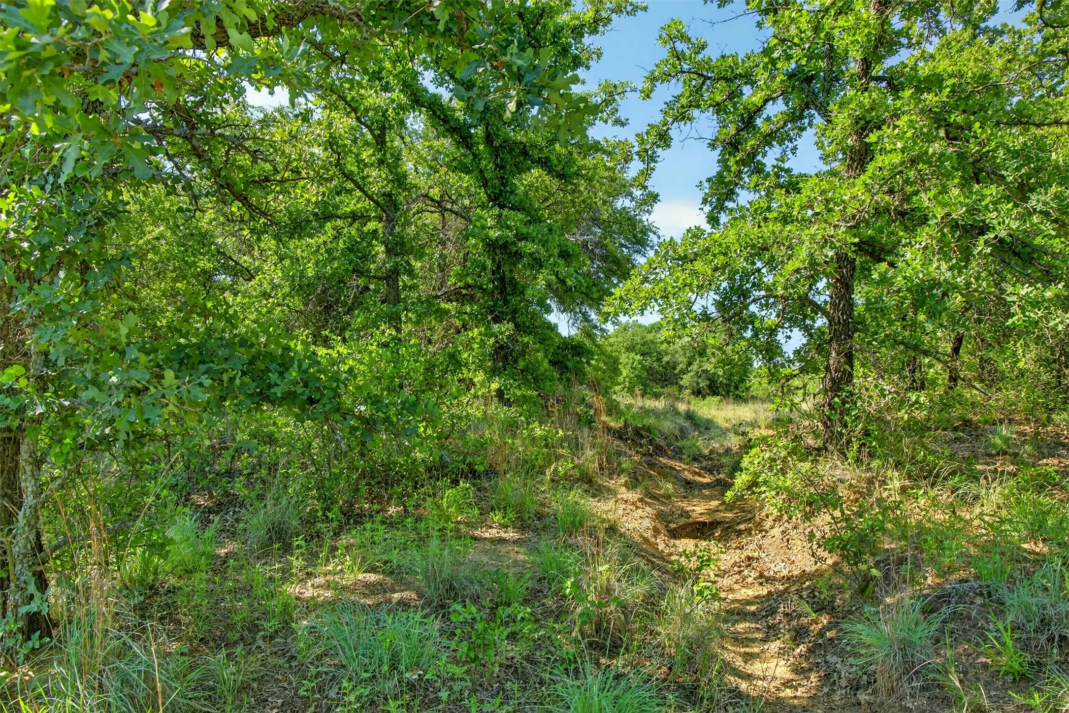 Ranch For Sale in Eastland County , TBD CR 144, Cisco, Texas 76437, 0, 0, Garage spaces, 0 Sqft, built in 0, mls#21264134, Real Estate Agent in Cisco, Homes For Sale in Eastland county, Homes For Sale in Cisco, Realtor in Cisco Texas, Real Estate Brokerage Independent Realty Texas, Luminita Cordes Realtor