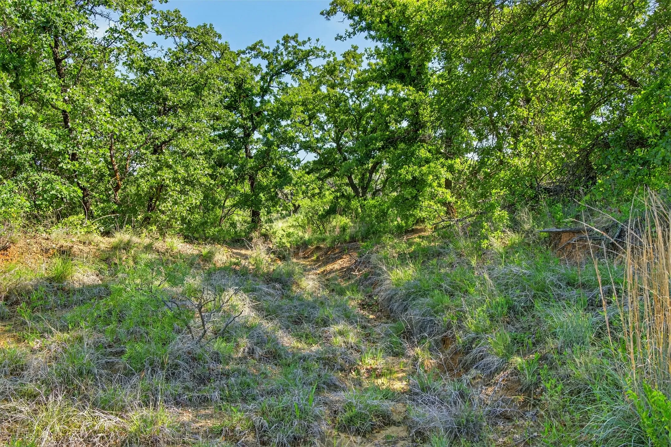 Ranch For Sale in Eastland County , TBD CR 144, Cisco, Texas 76437, 0, 0, Garage spaces, 0 Sqft, built in 0, mls#21264134, Real Estate Agent in Cisco, Homes For Sale in Eastland county, Homes For Sale in Cisco, Realtor in Cisco Texas, Real Estate Brokerage Independent Realty Texas, Luminita Cordes Realtor