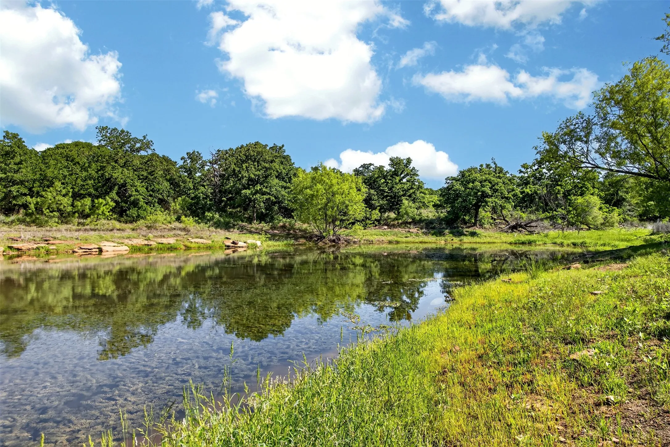 Ranch For Sale in Eastland County , TBD CR 144, Cisco, Texas 76437, 0, 0, Garage spaces, 0 Sqft, built in 0, mls#21264134, Real Estate Agent in Cisco, Homes For Sale in Eastland county, Homes For Sale in Cisco, Realtor in Cisco Texas, Real Estate Brokerage Independent Realty Texas, Luminita Cordes Realtor