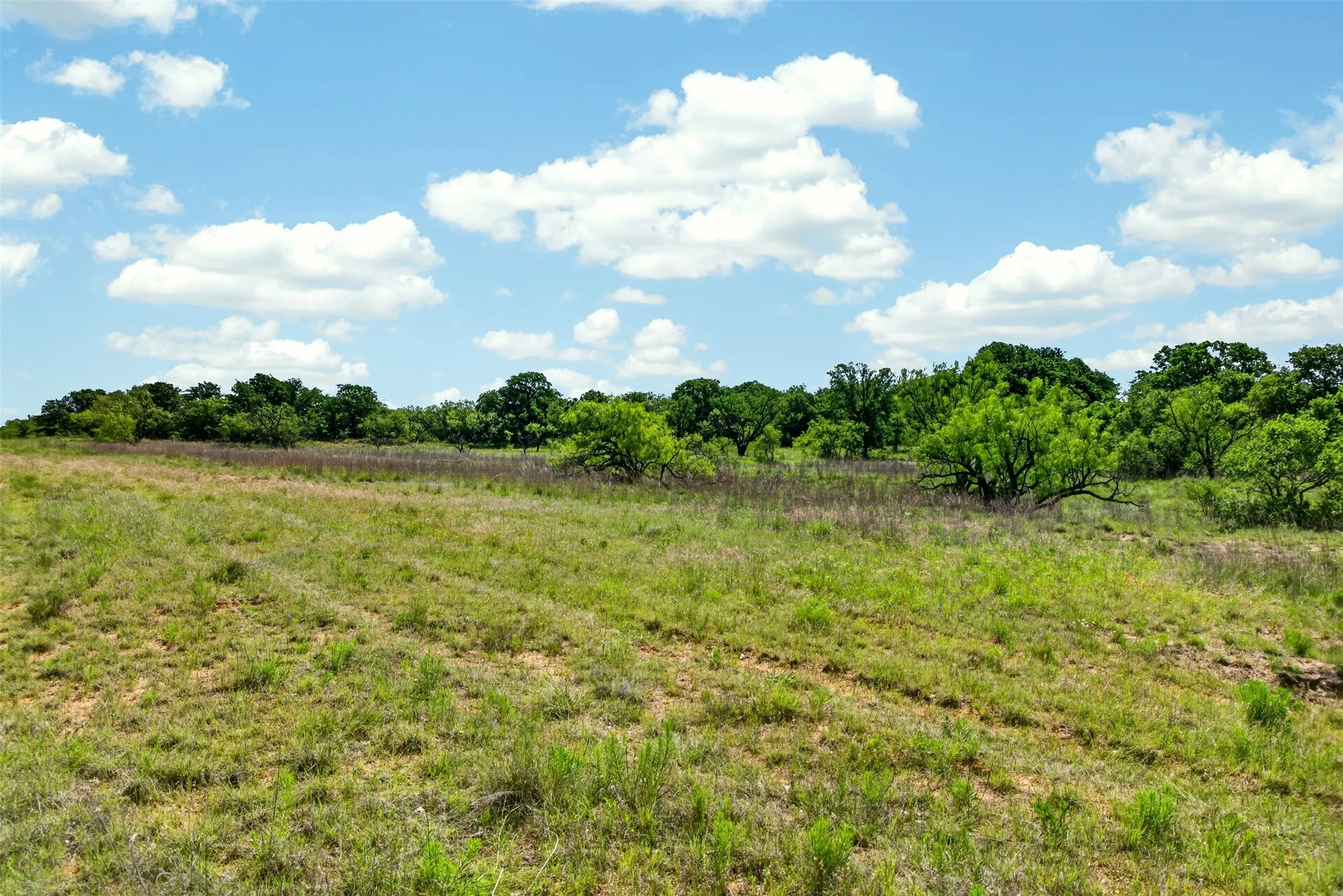 Ranch For Sale in Eastland County , TBD CR 144, Cisco, Texas 76437, 0, 0, Garage spaces, 0 Sqft, built in 0, mls#21264134, Real Estate Agent in Cisco, Homes For Sale in Eastland county, Homes For Sale in Cisco, Realtor in Cisco Texas, Real Estate Brokerage Independent Realty Texas, Luminita Cordes Realtor