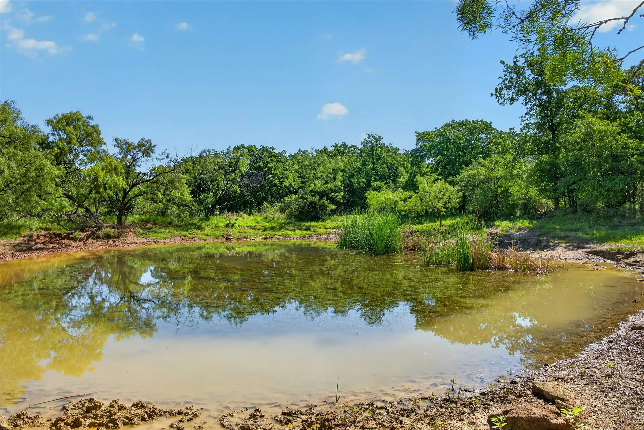 Ranch For Sale in Eastland County , TBD CR 144, Cisco, Texas 76437, 0, 0, Garage spaces, 0 Sqft, built in 0, mls#21264134, Real Estate Agent in Cisco, Homes For Sale in Eastland county, Homes For Sale in Cisco, Realtor in Cisco Texas, Real Estate Brokerage Independent Realty Texas, Luminita Cordes Realtor