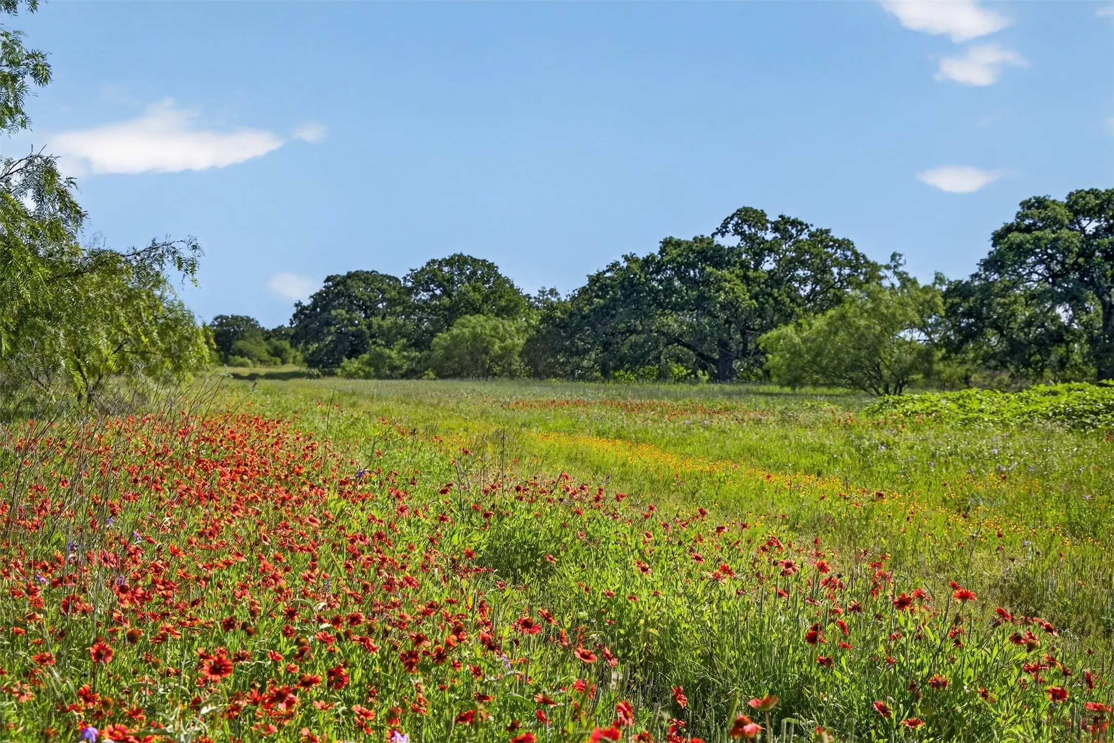 Ranch For Sale in Eastland County , TBD CR 144, Cisco, Texas 76437, 0, 0, Garage spaces, 0 Sqft, built in 0, mls#21264134, Real Estate Agent in Cisco, Homes For Sale in Eastland county, Homes For Sale in Cisco, Realtor in Cisco Texas, Real Estate Brokerage Independent Realty Texas, Luminita Cordes Realtor